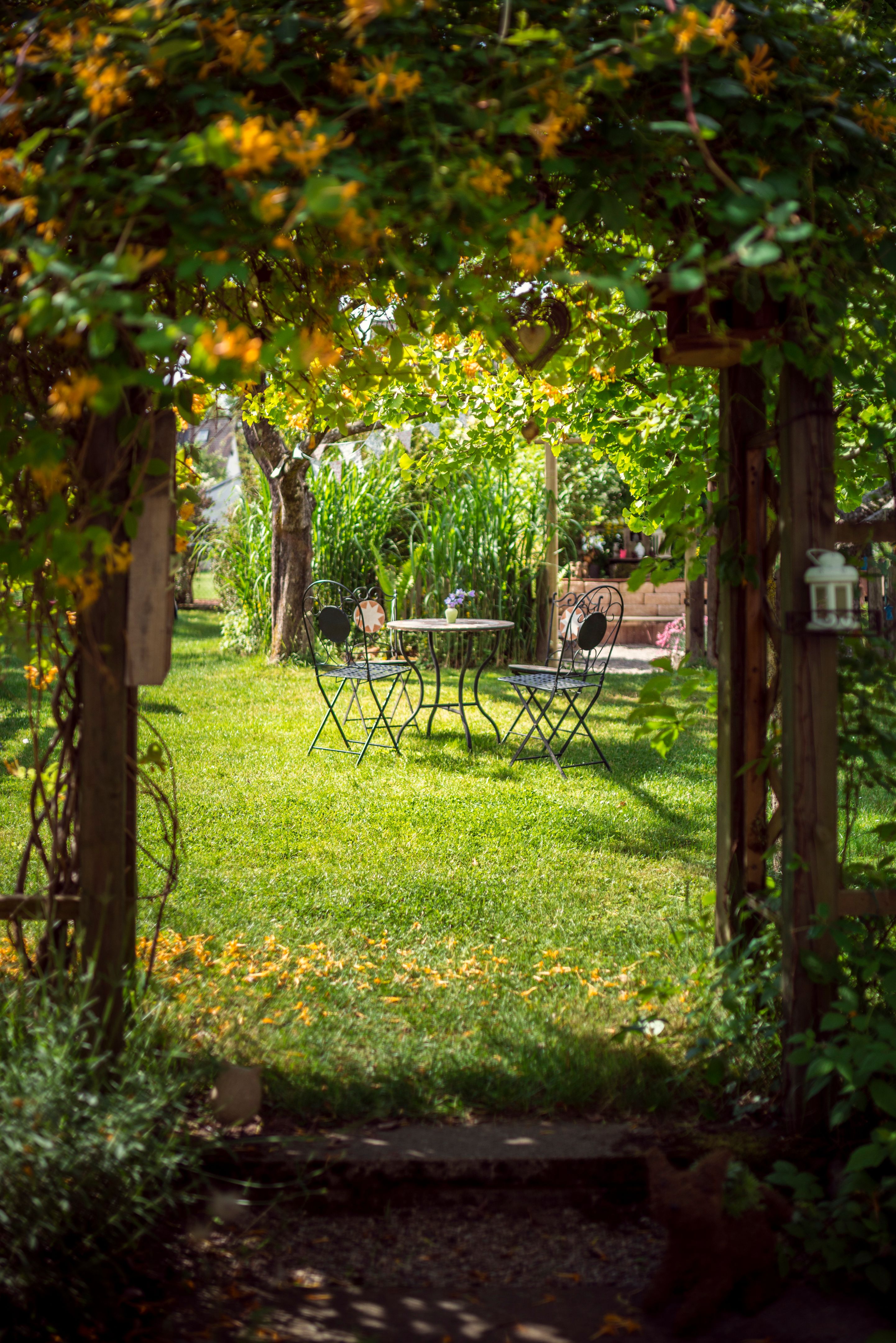 bed breakfast garden