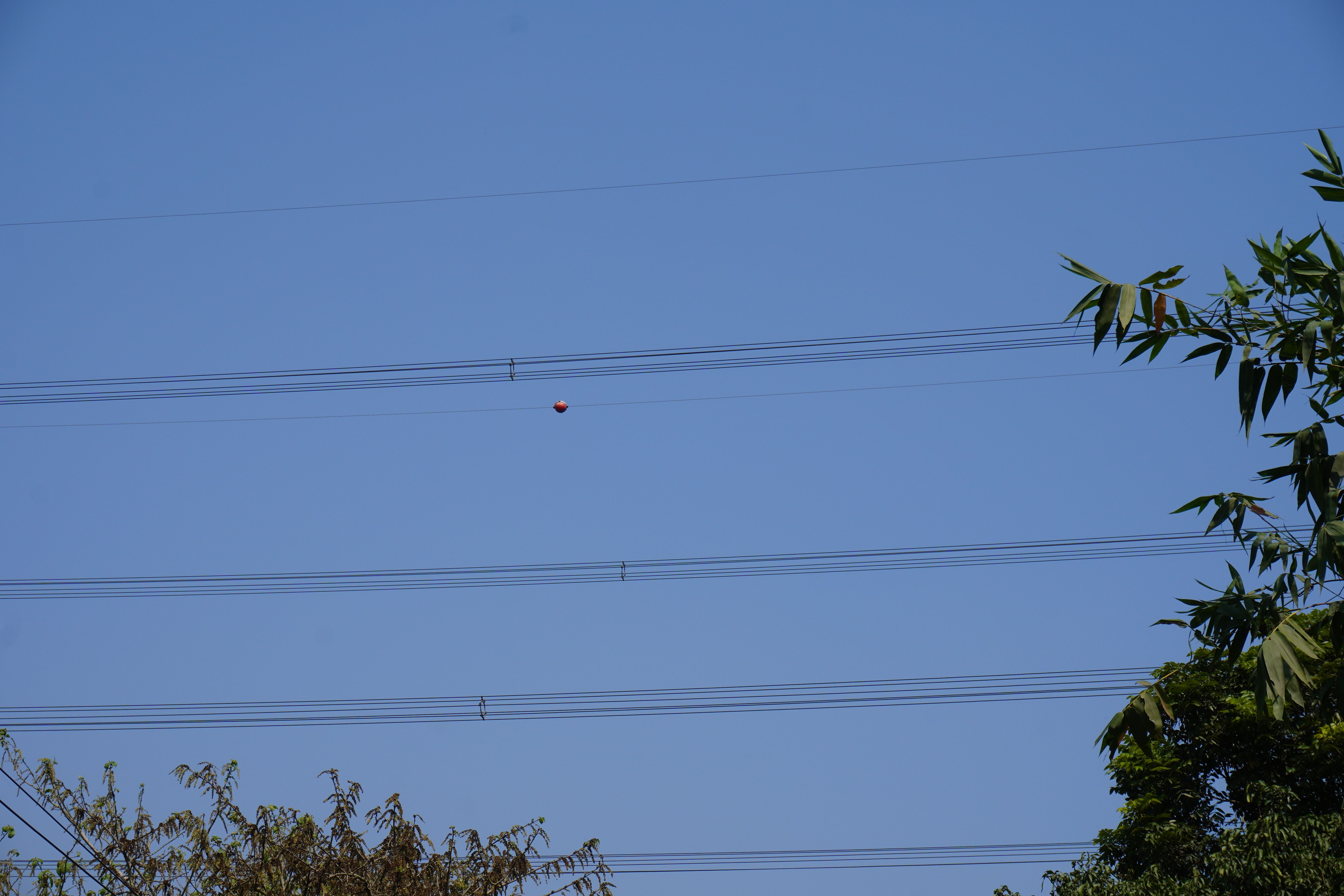 bird flight diverter