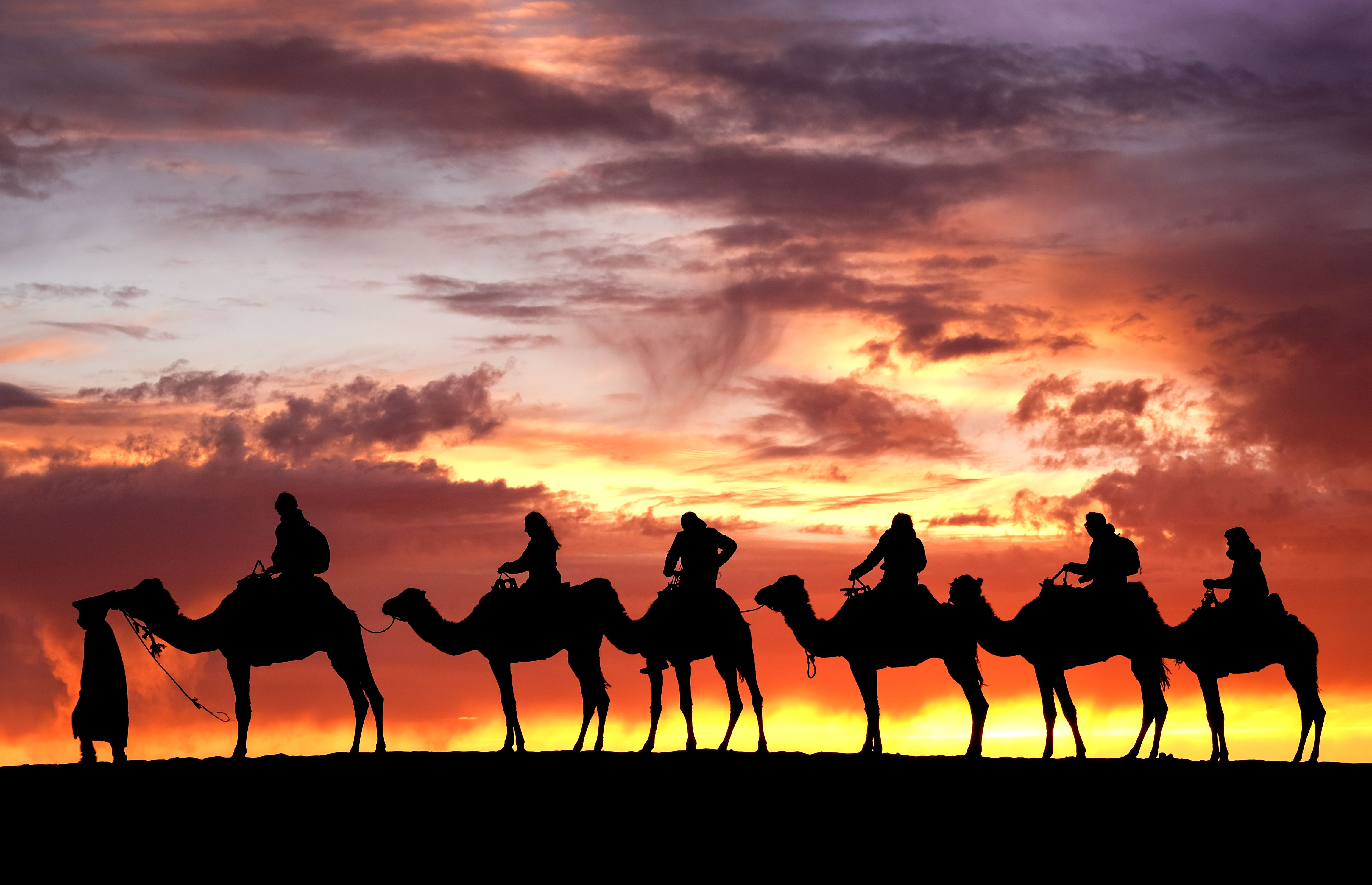 desert marrakesh event