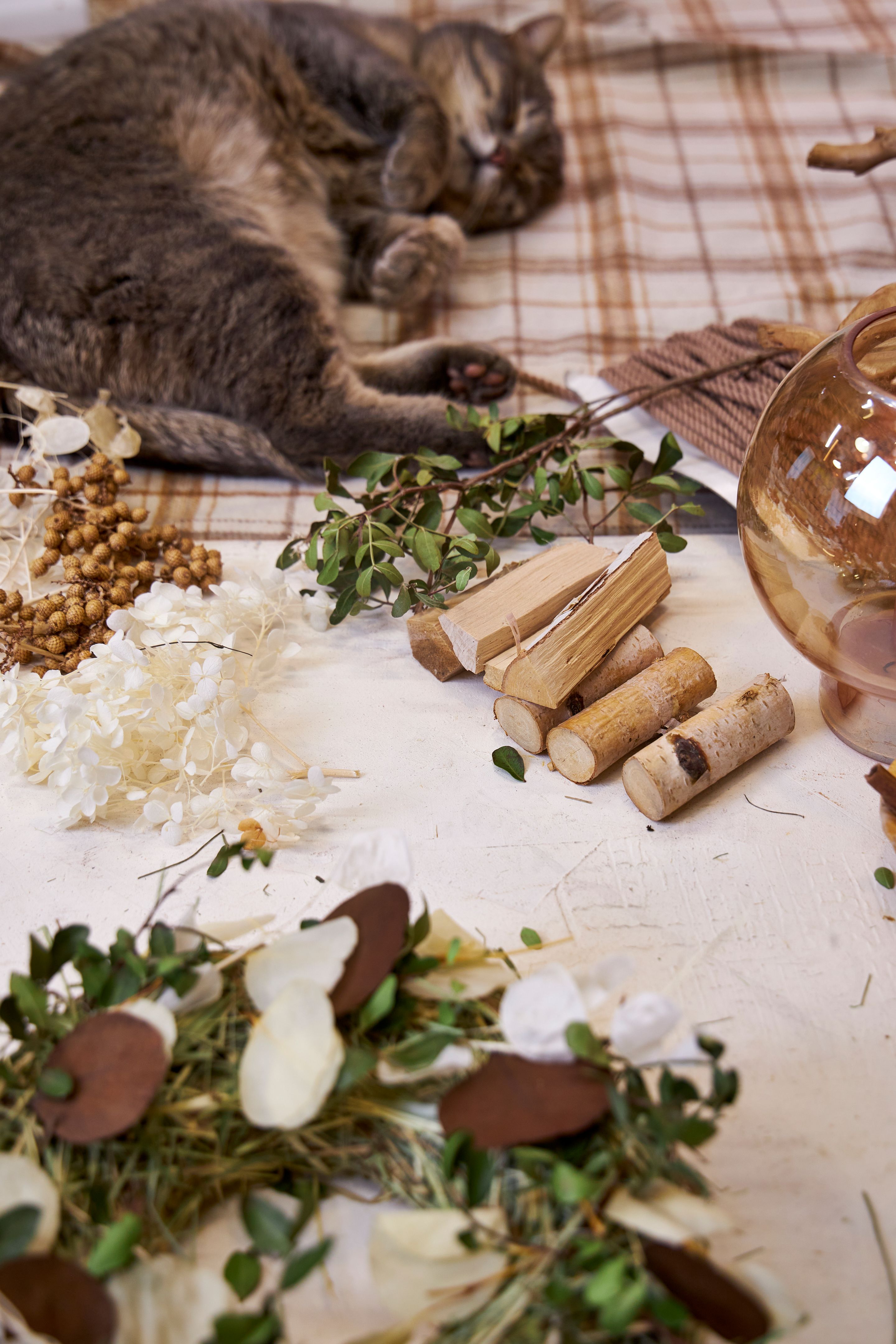 Gray Cat Sleeping Next to Handmade Candle and Craft Materials on Table