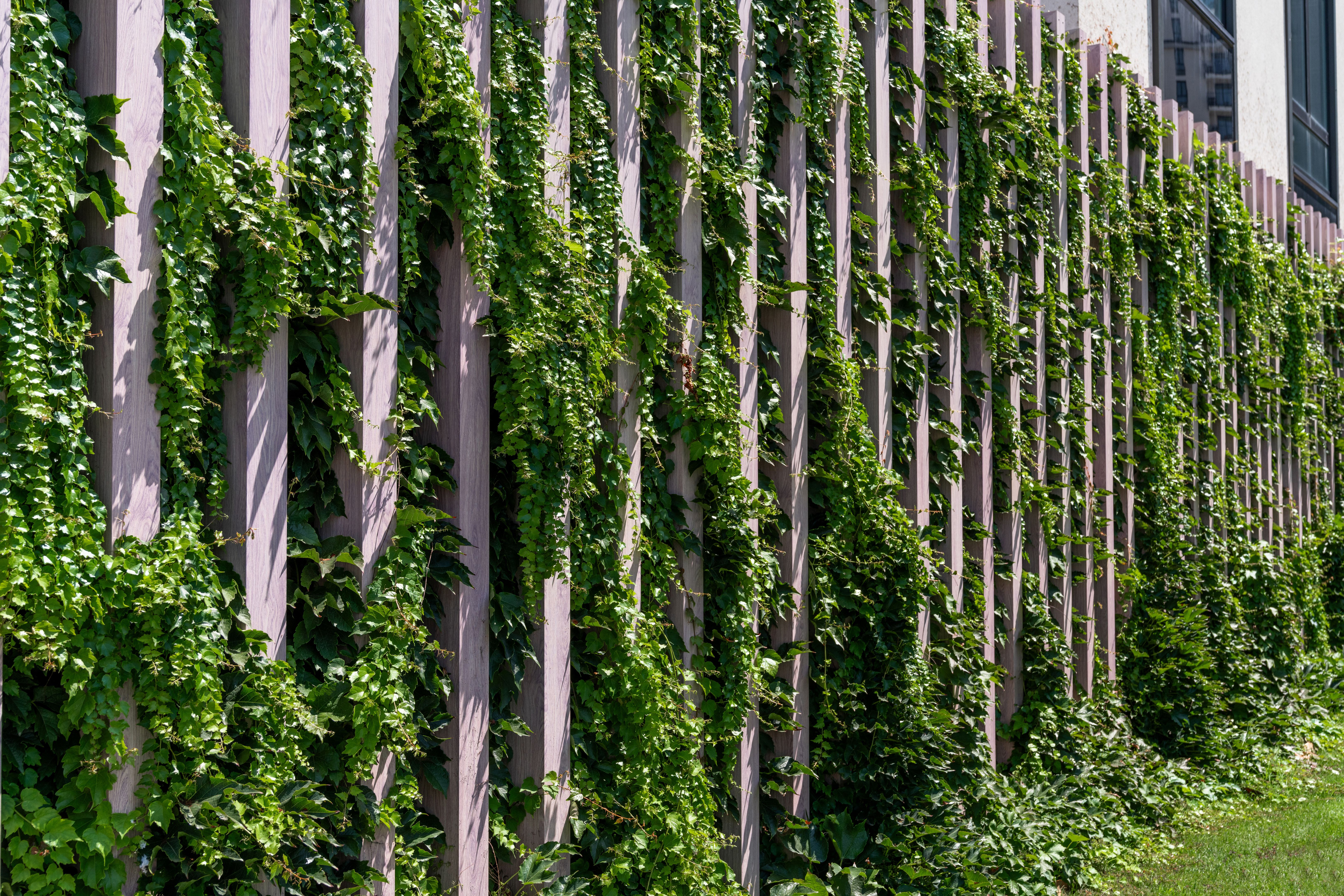 vertical garden fence