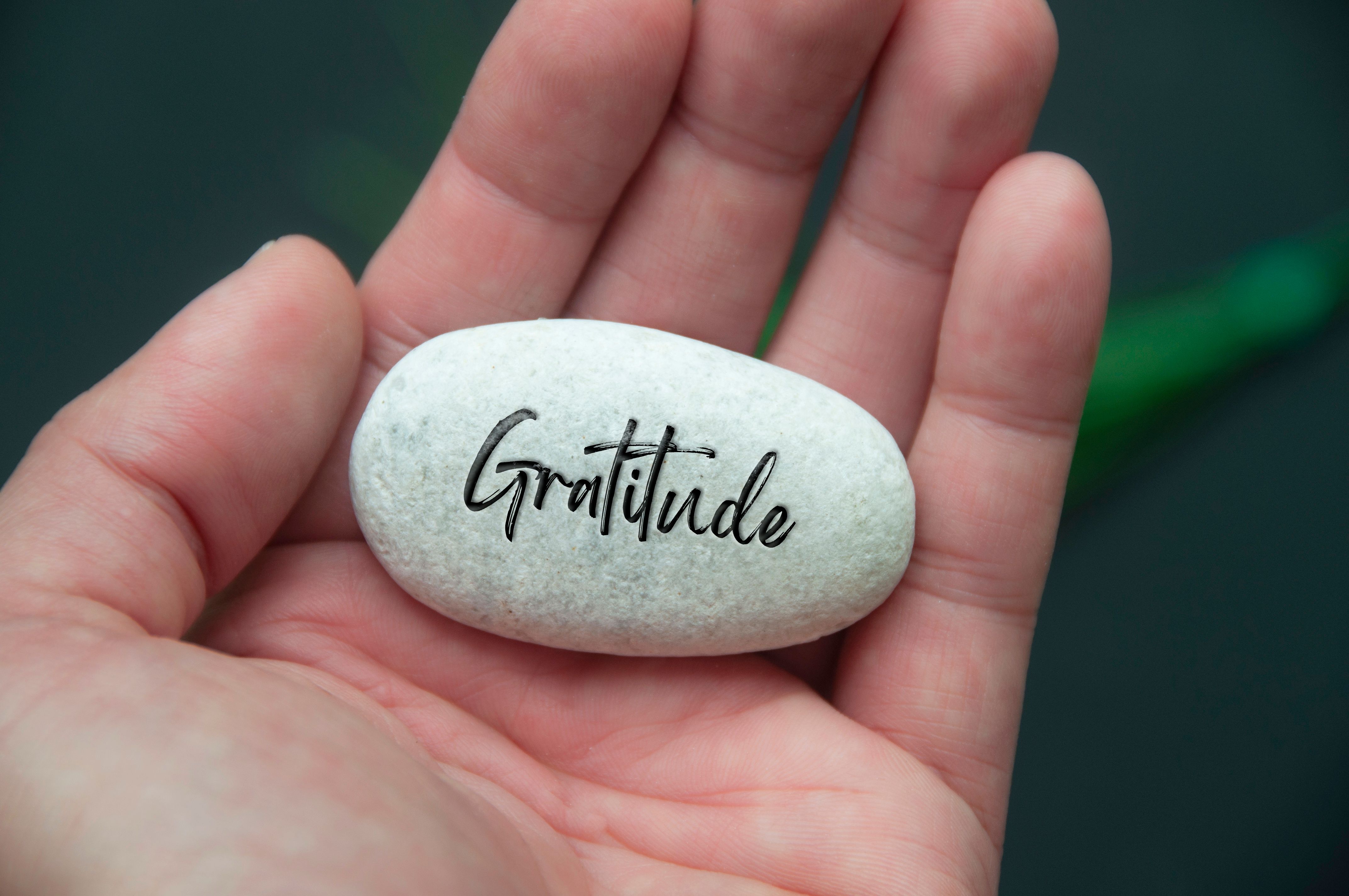 gratitude