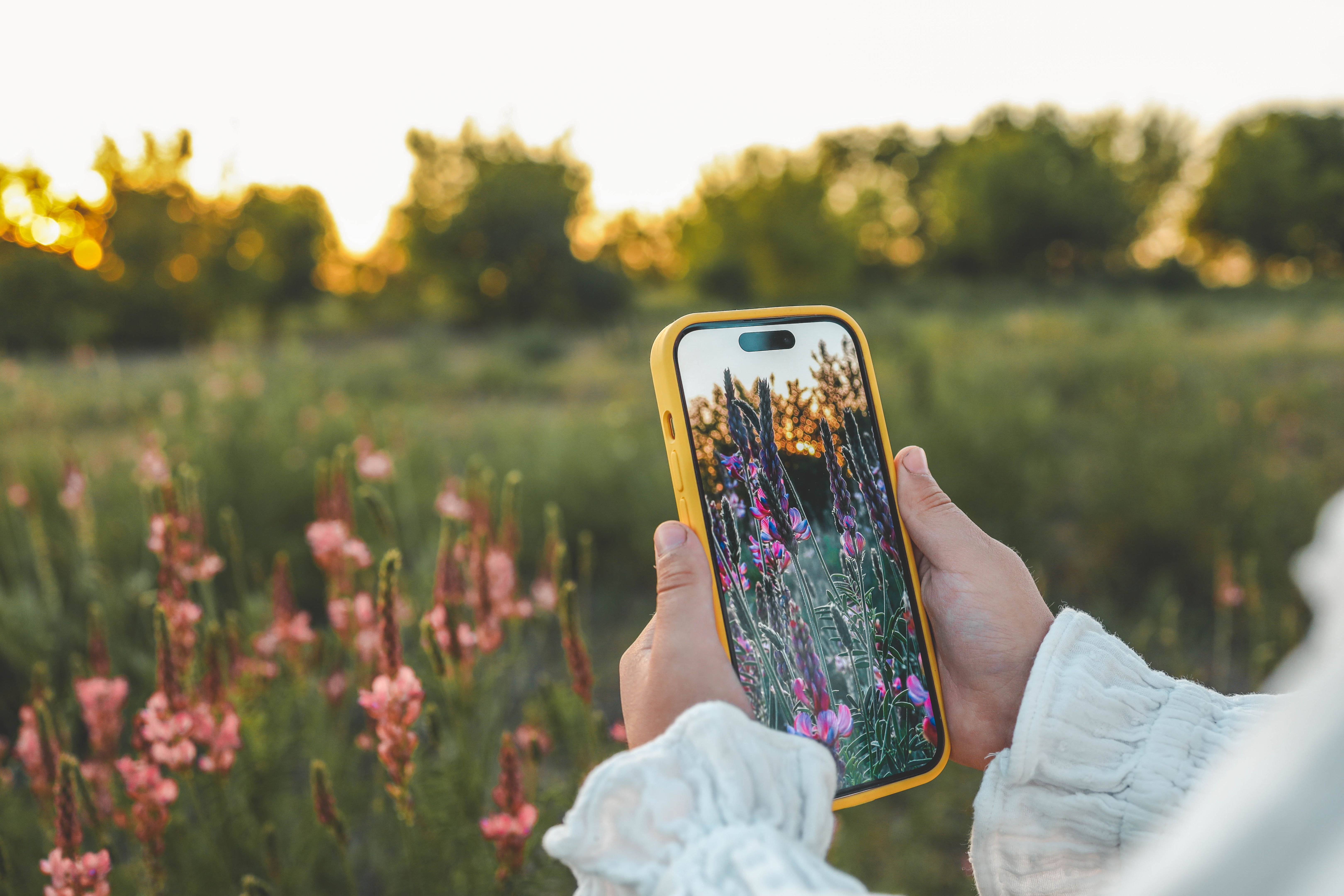 people taking photos