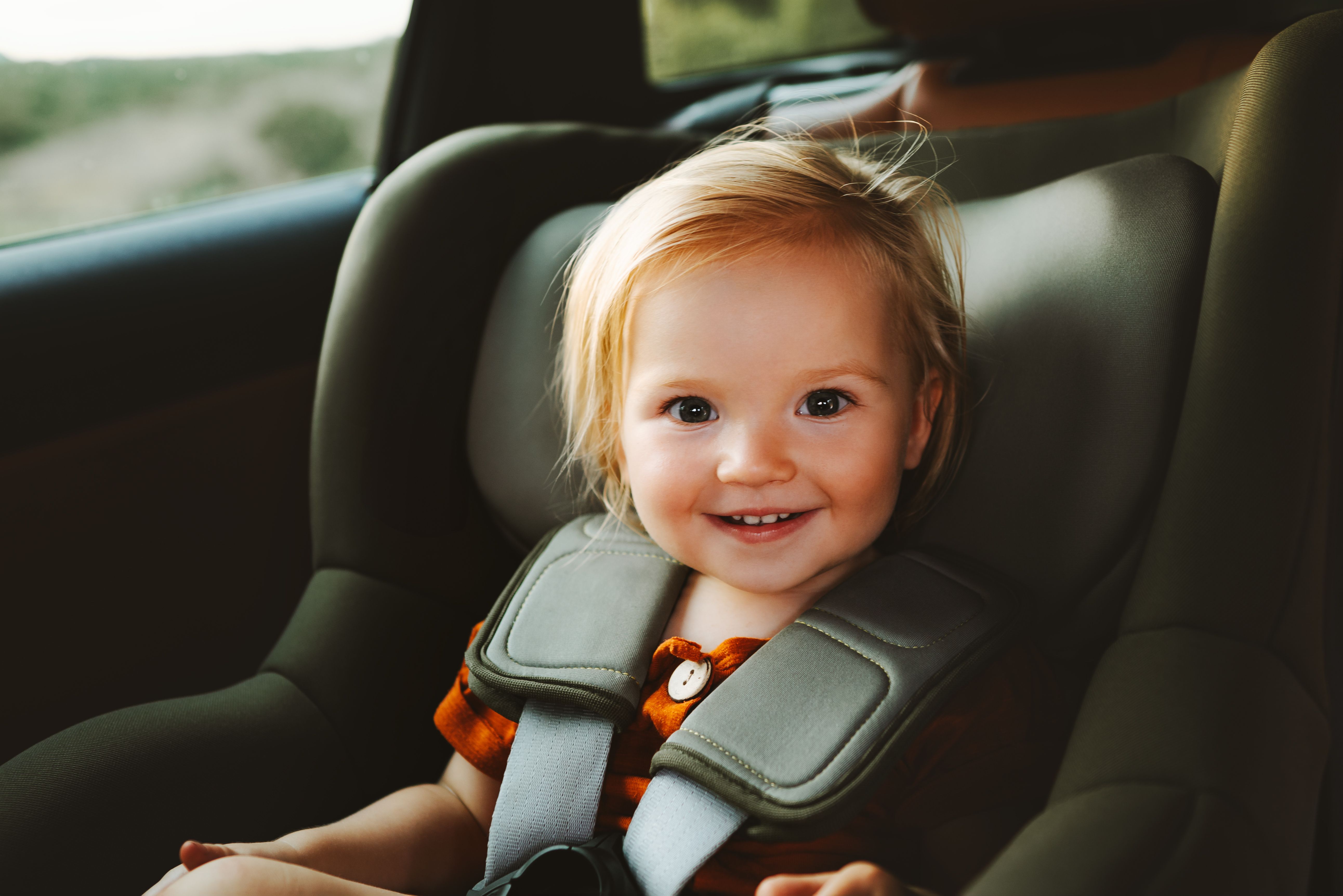 car interior protection