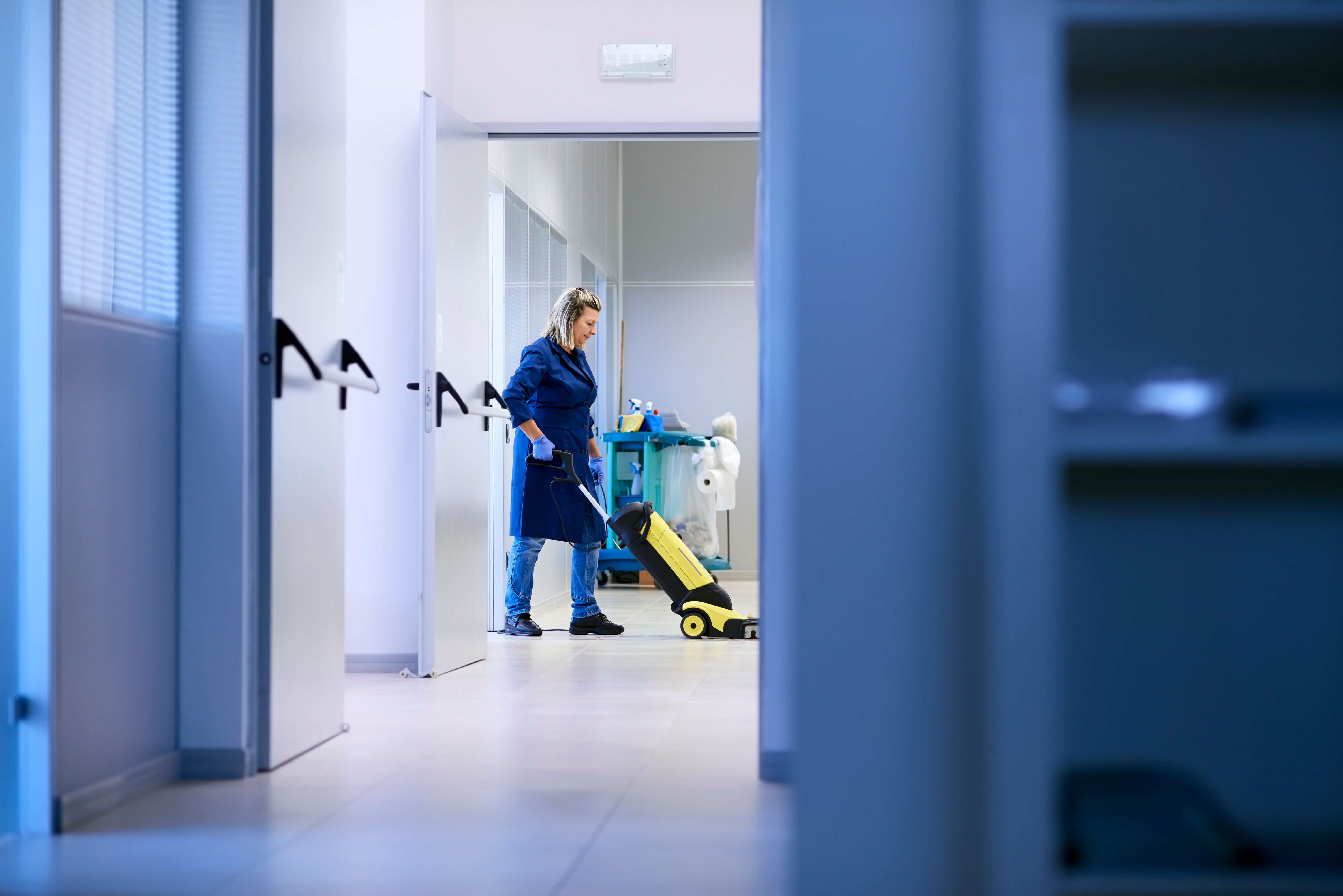professional cleaner