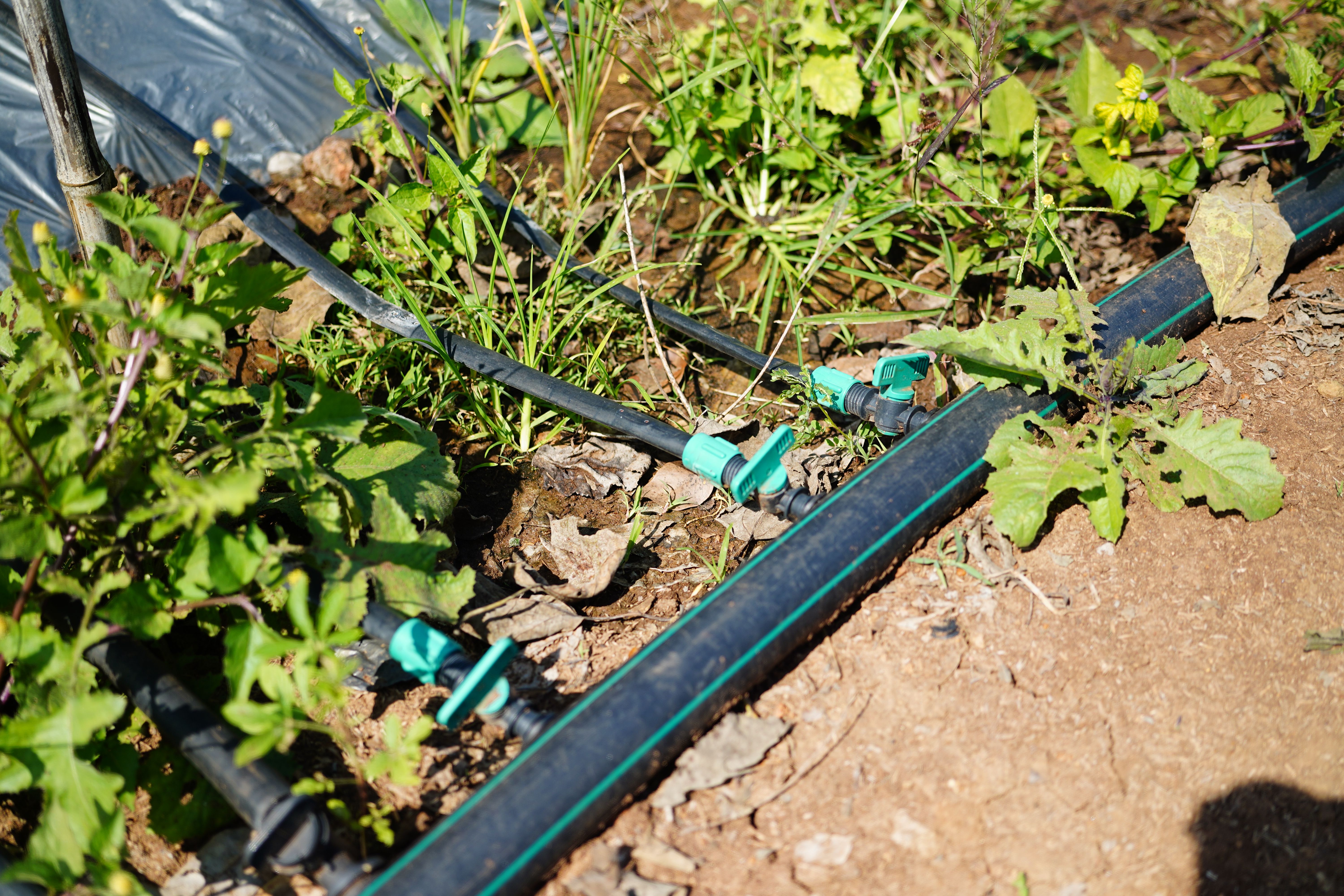 bio-swale installation