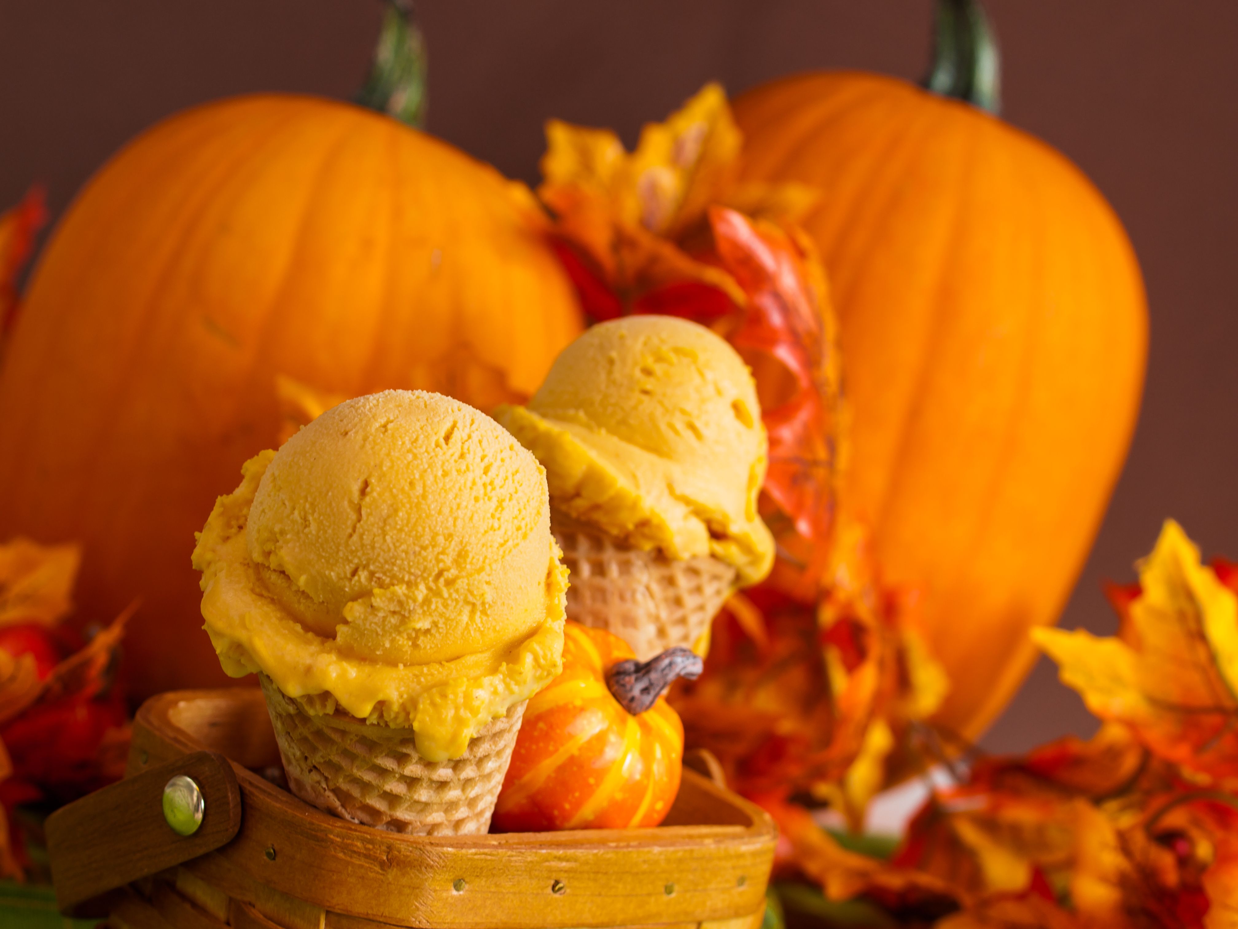 autumn ice cream