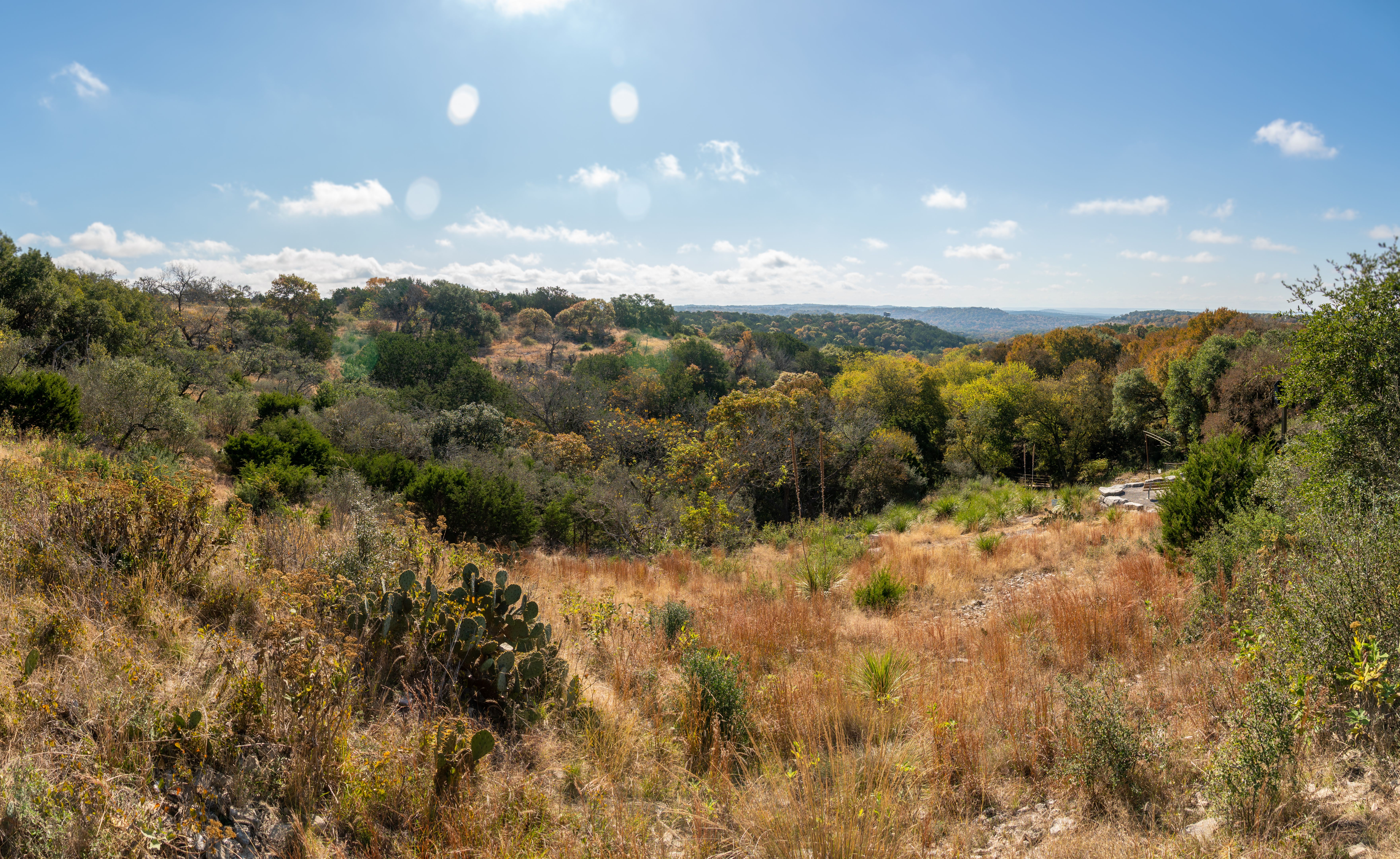 dripping springs landscape