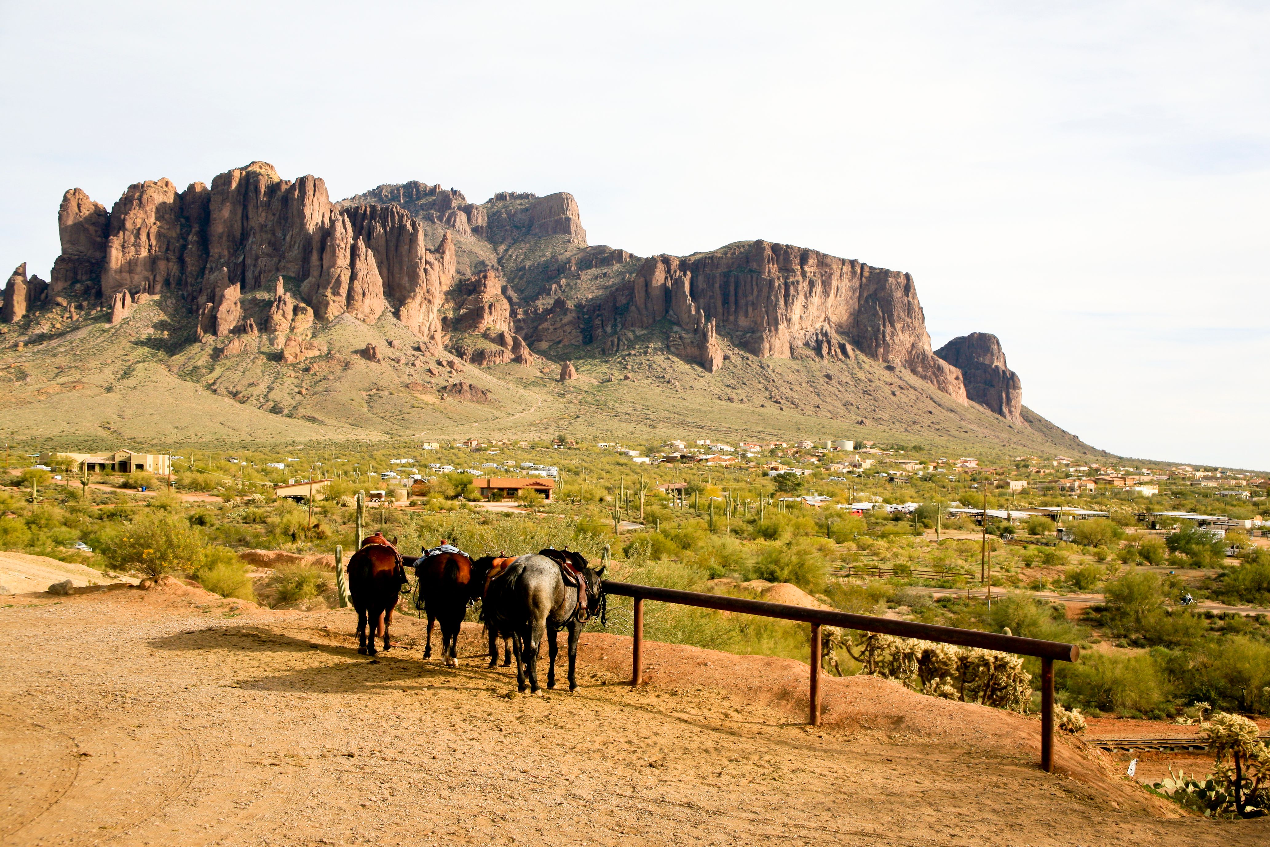 Four horses tied to a rail with Arizona’s Superstition Mountains in the background — winter Snowbird equestrian season in the Greater Phoenix desert. Four horses tied to a rail with Arizona’s Superstition Mountains in the background — winter Snowbird equestrian season in the Greater Phoenix desert.