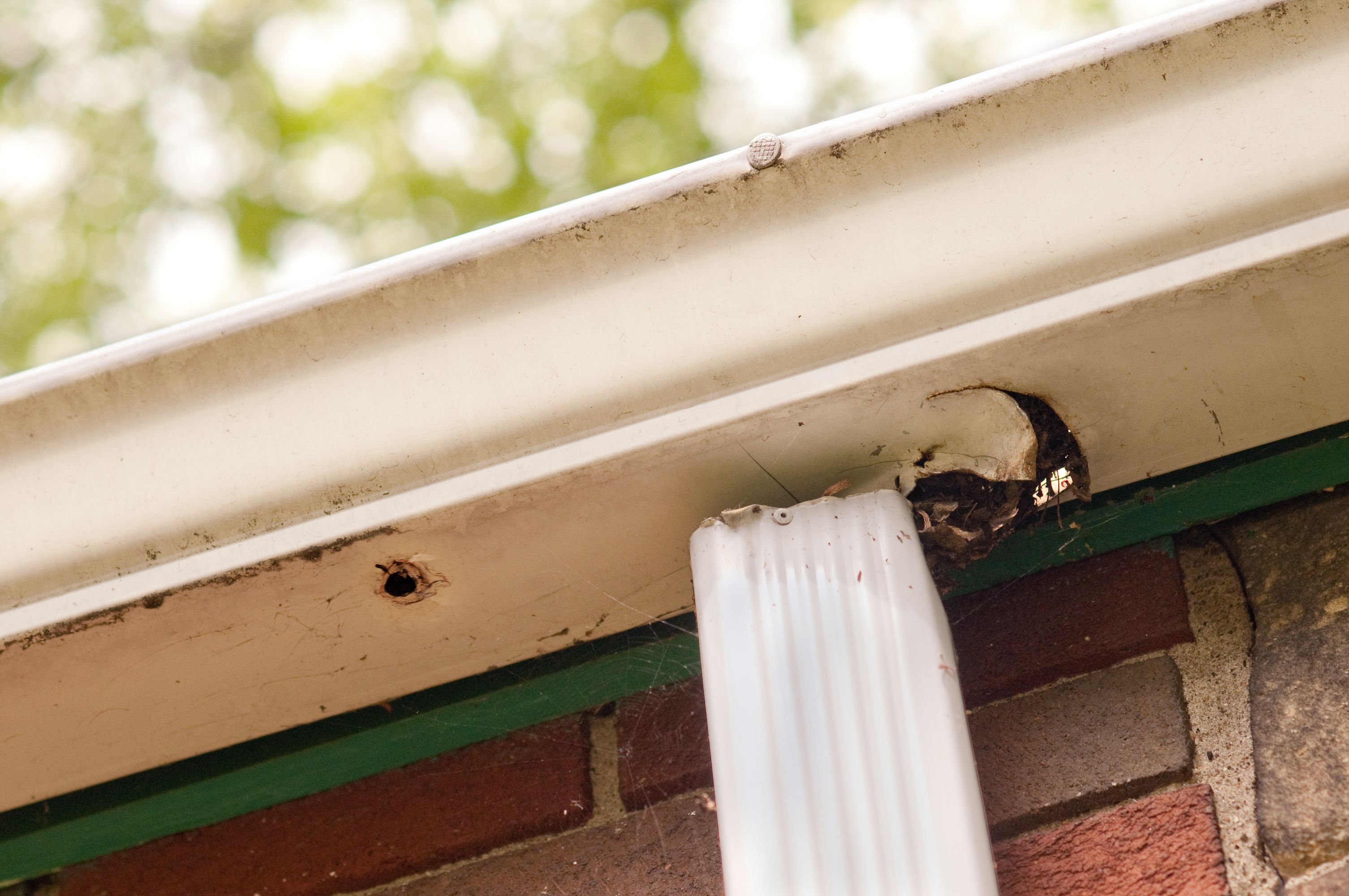 storm damage gutters