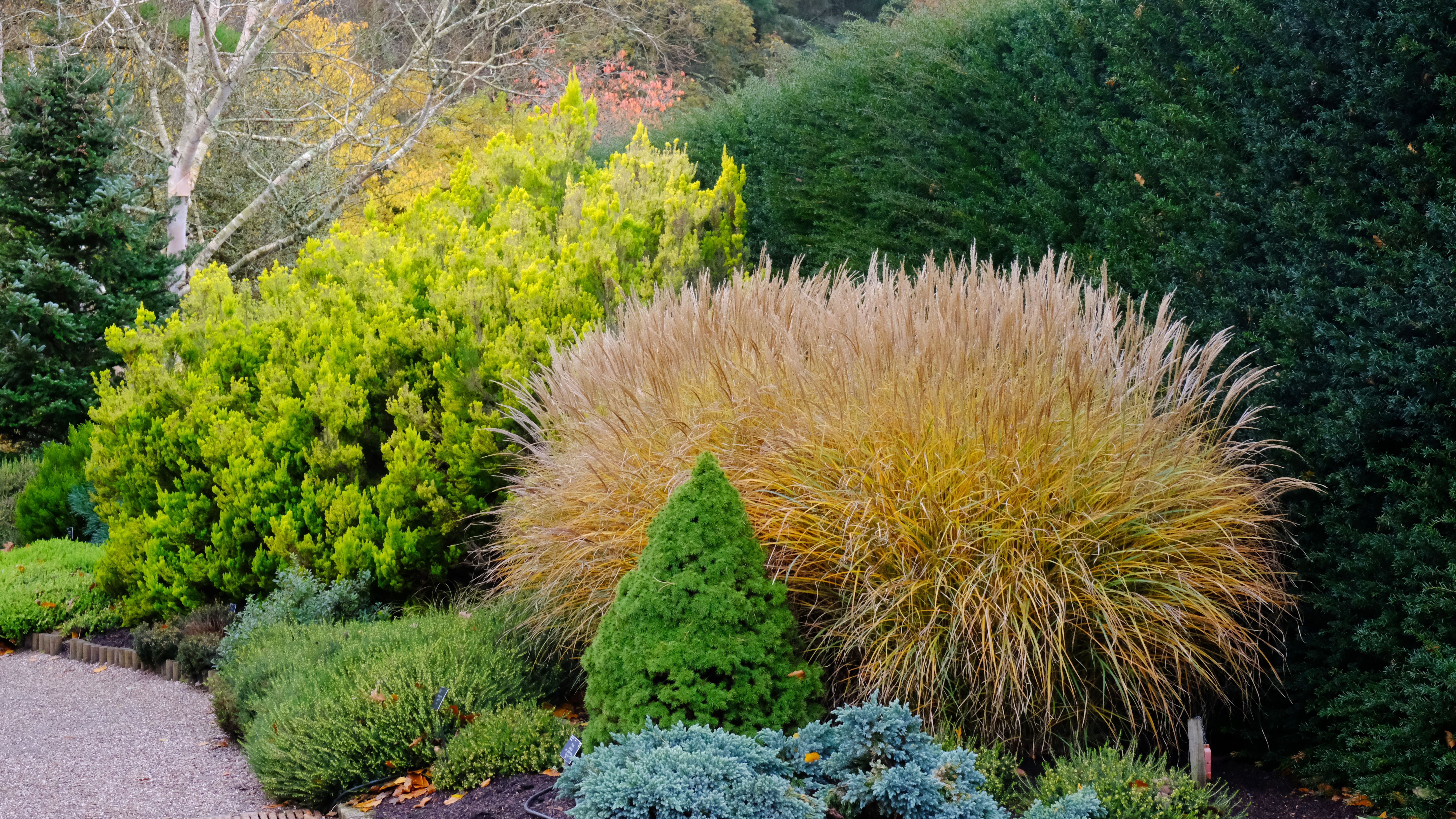 seasonal landscaping tips