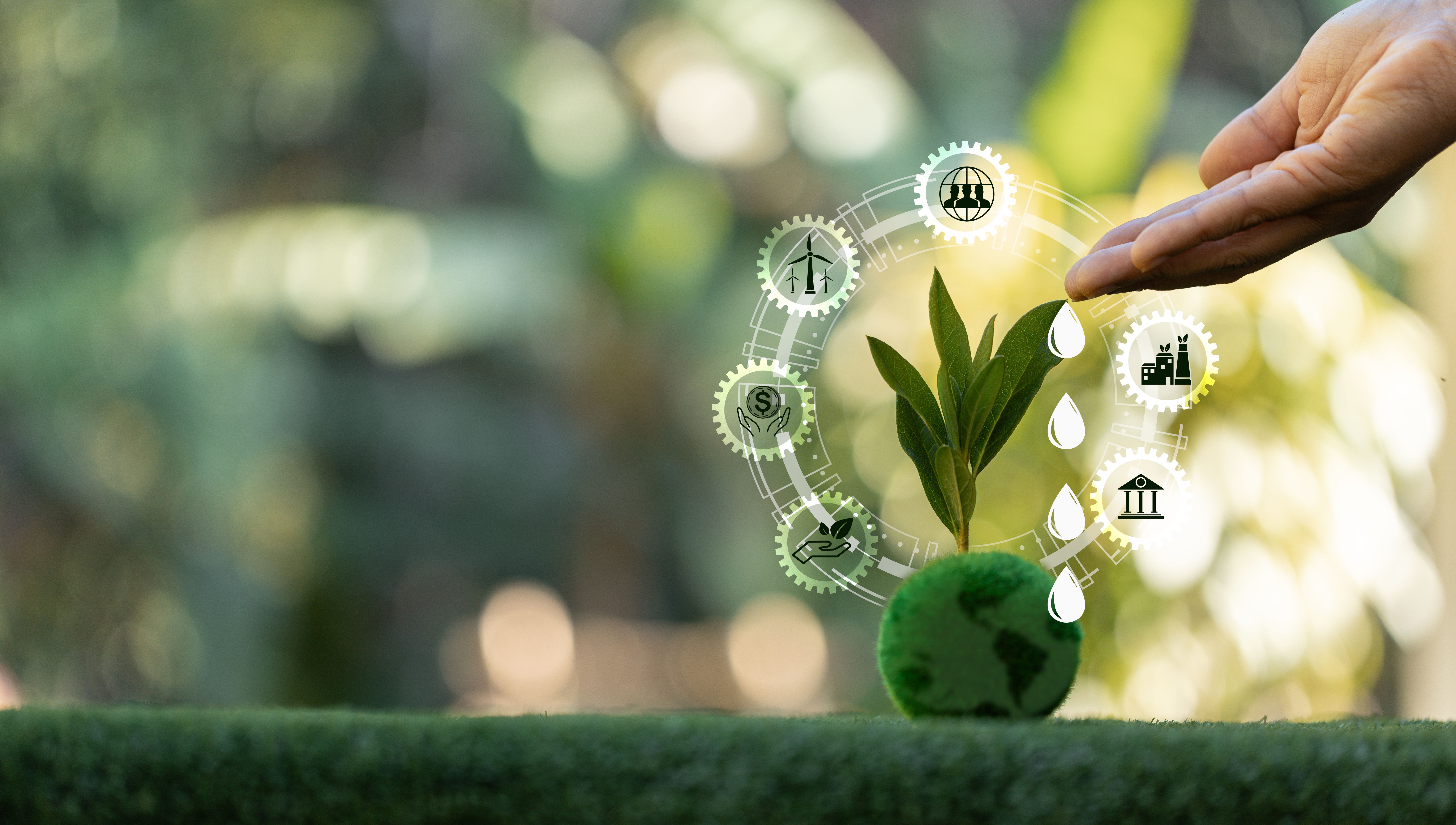 sustainable marketing