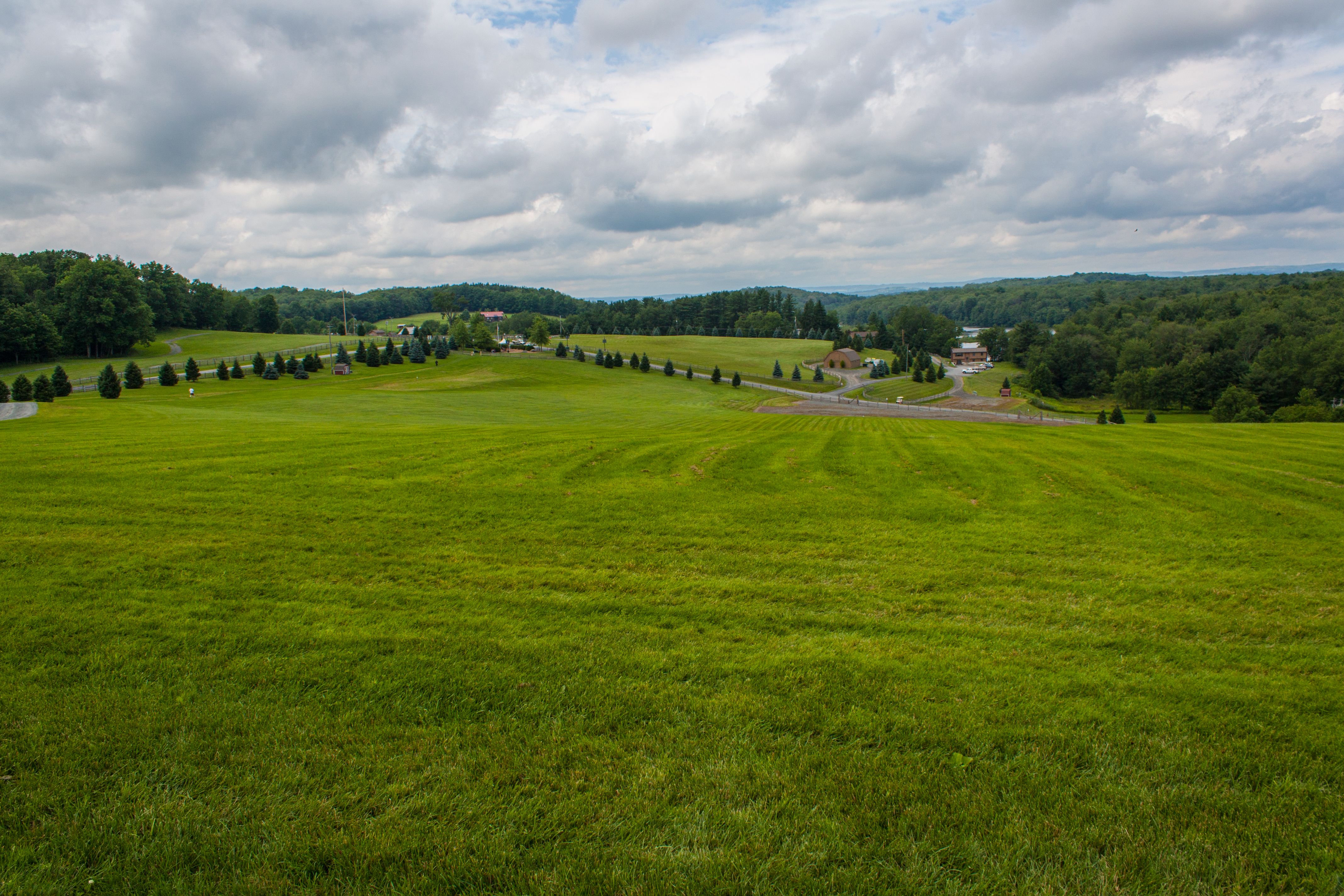 woodstock festival