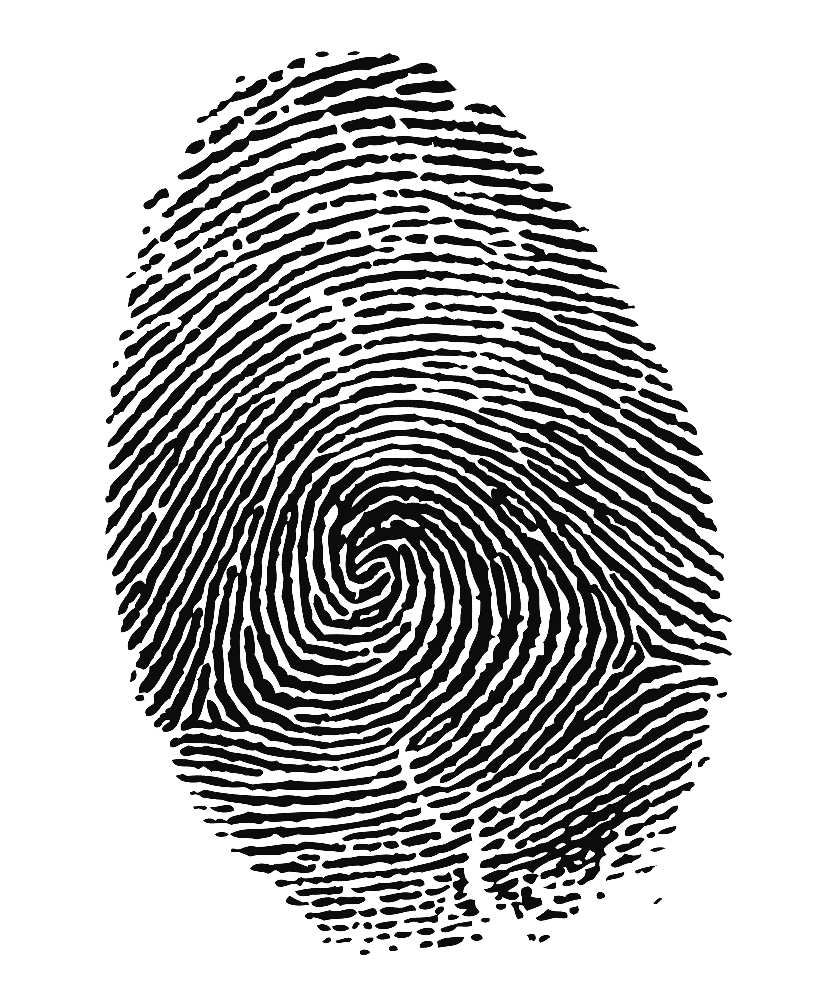 fingerprint ink process