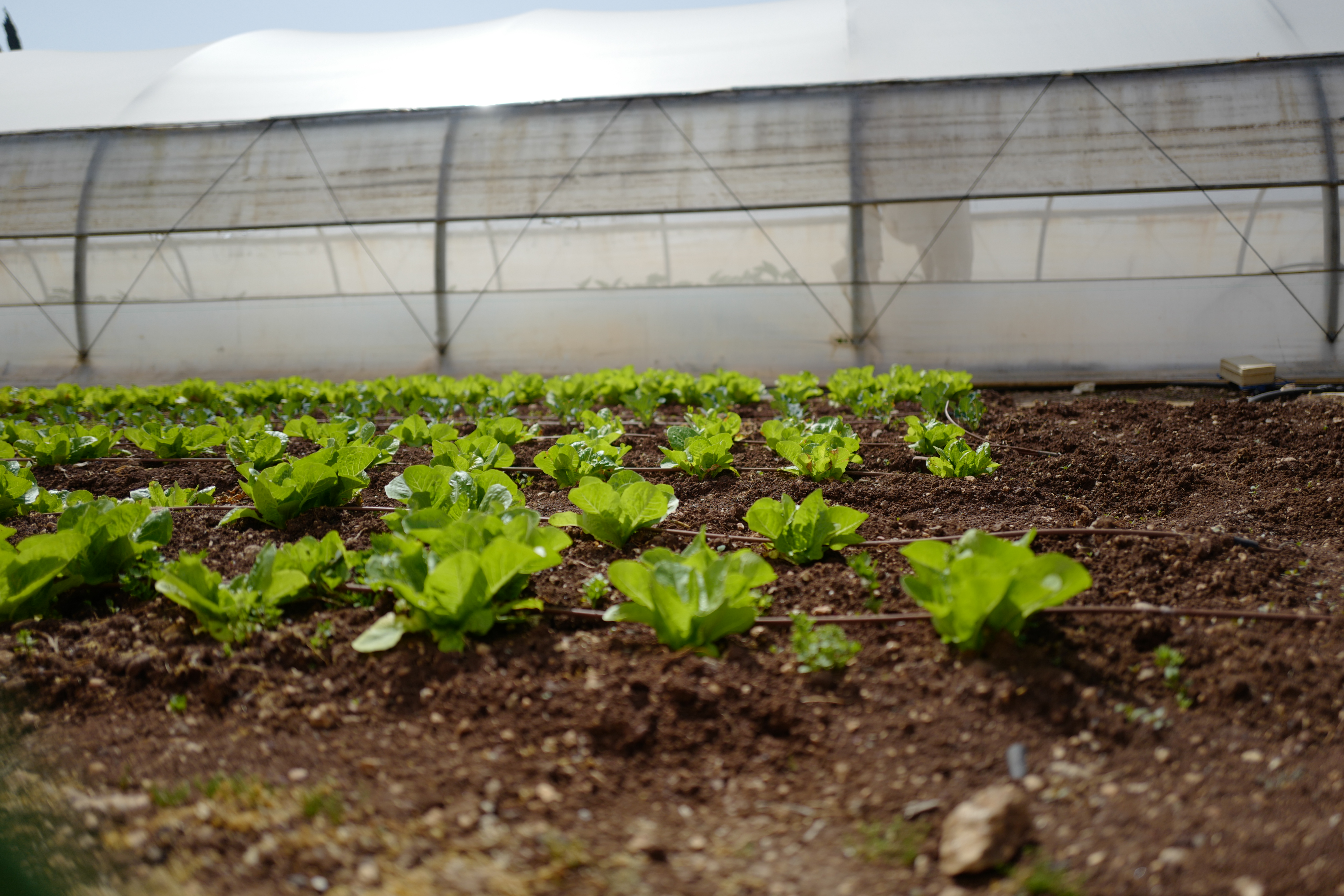 Agricultural technology