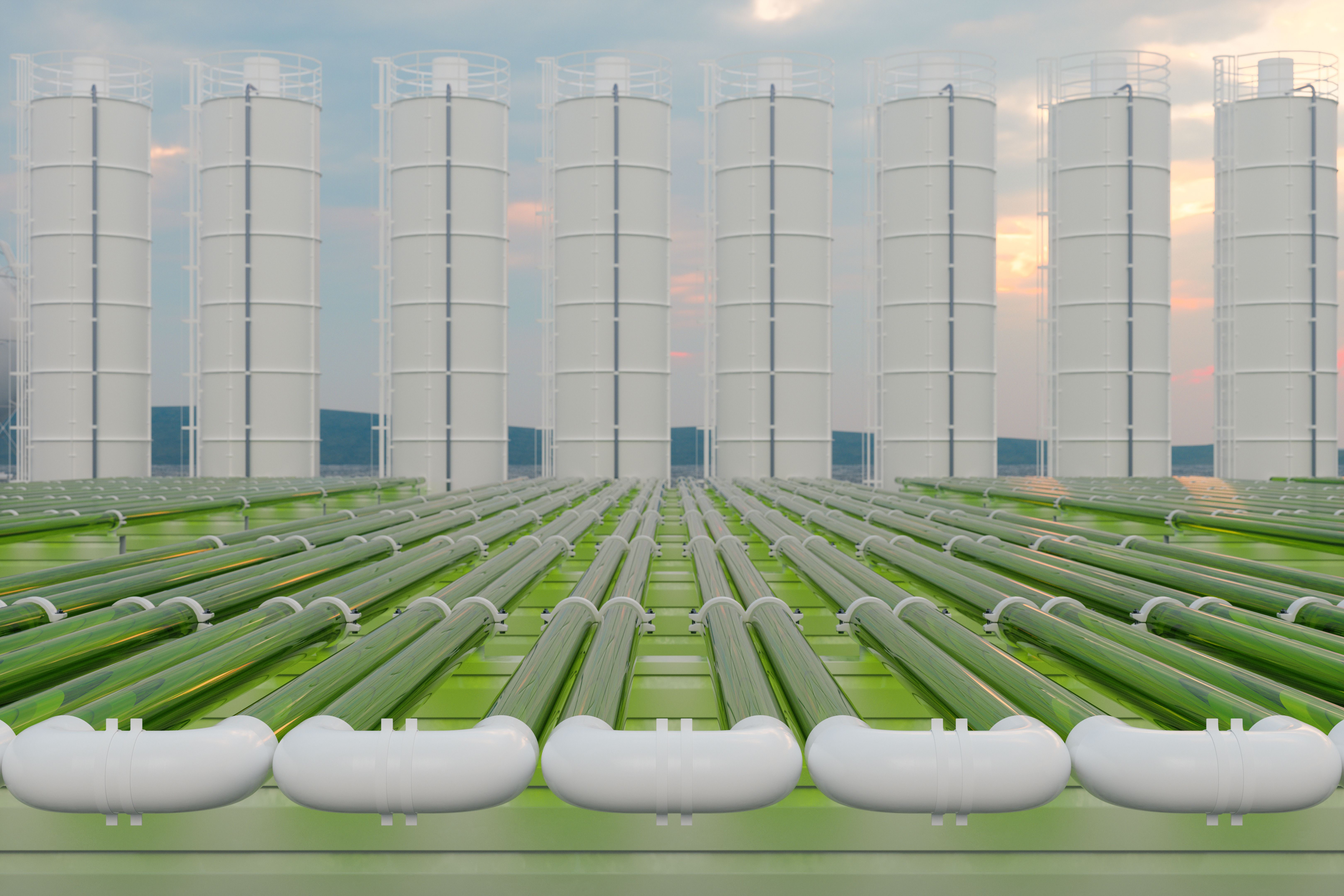 biofuel production