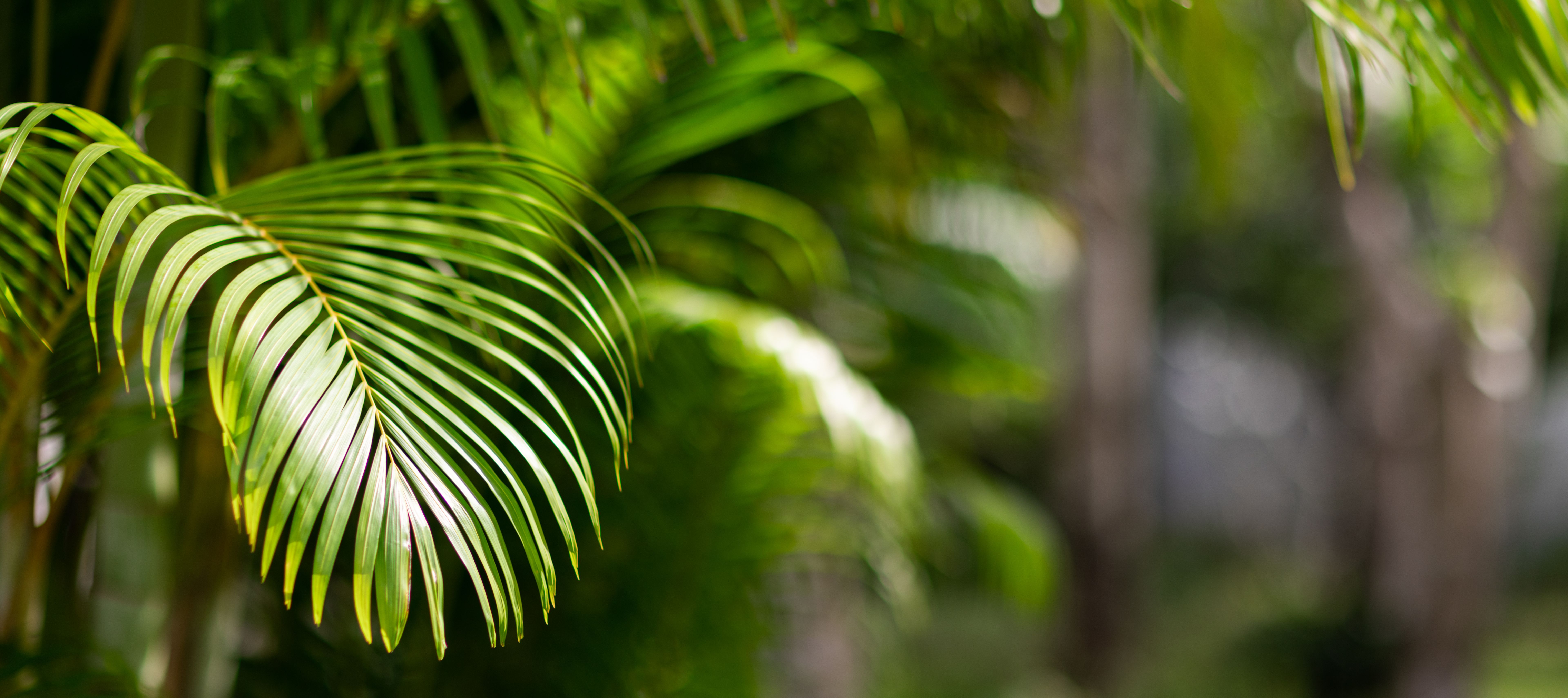 summer website design