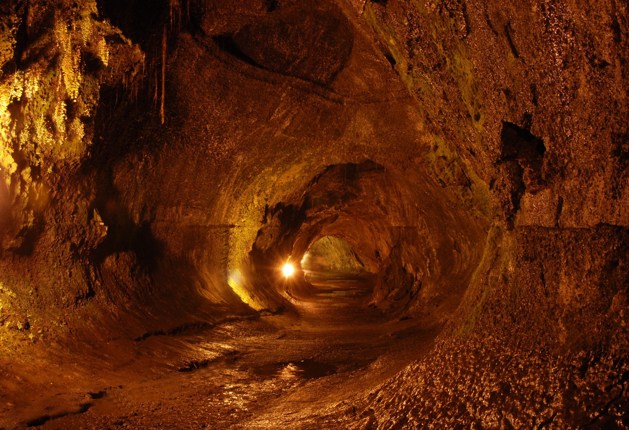 thurston lava tube