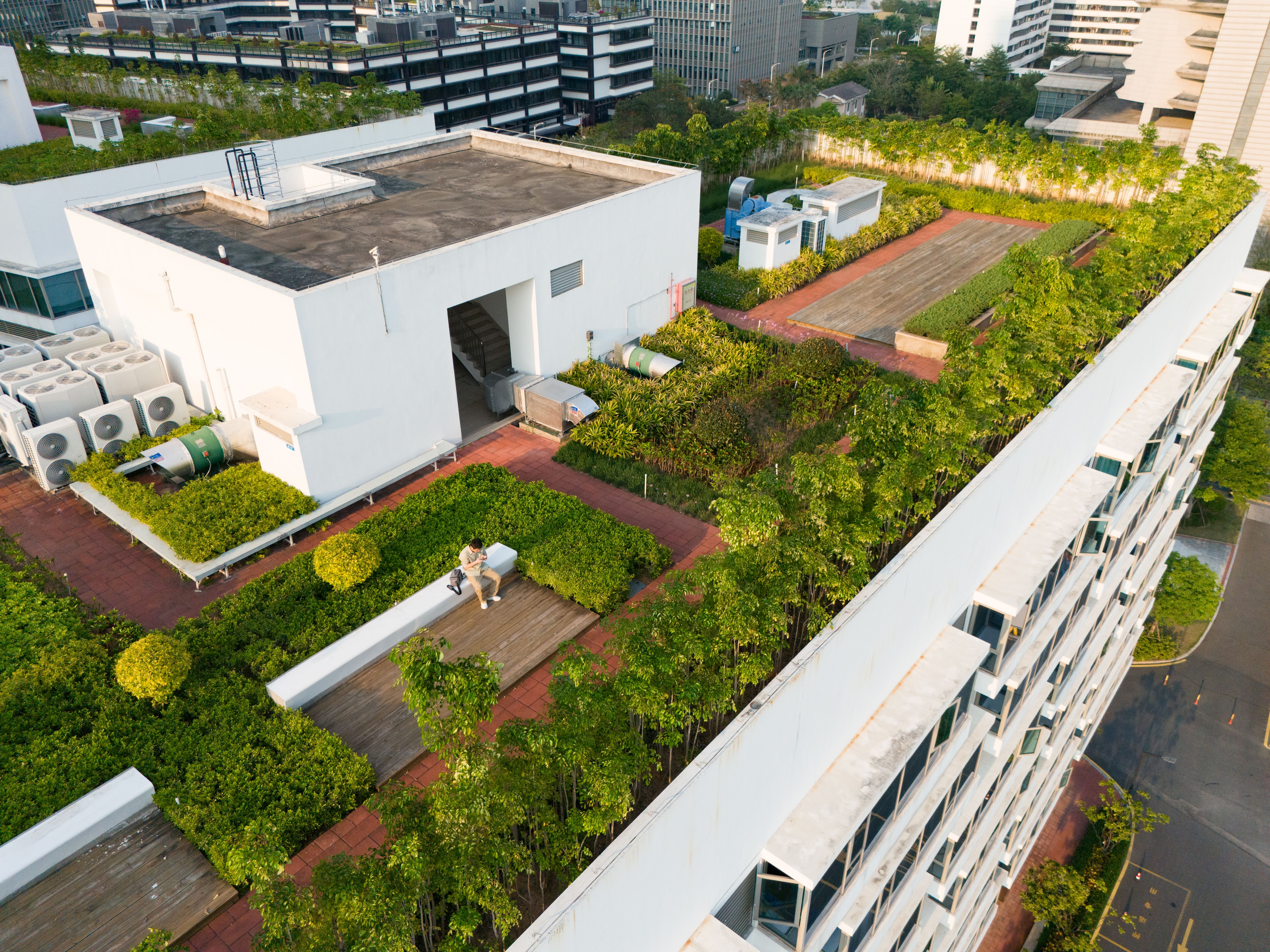 green rooftop garden