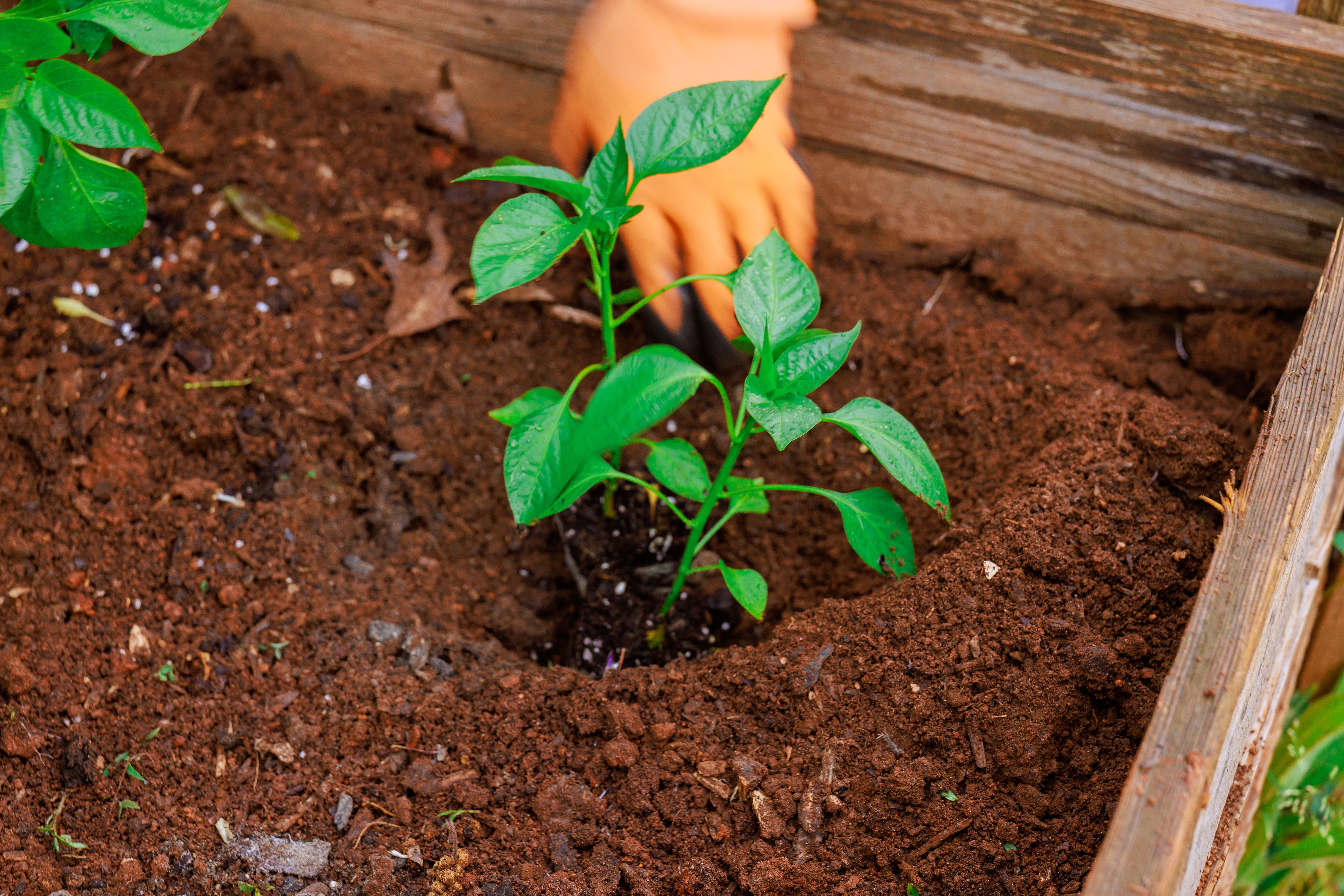 sustainability consulting