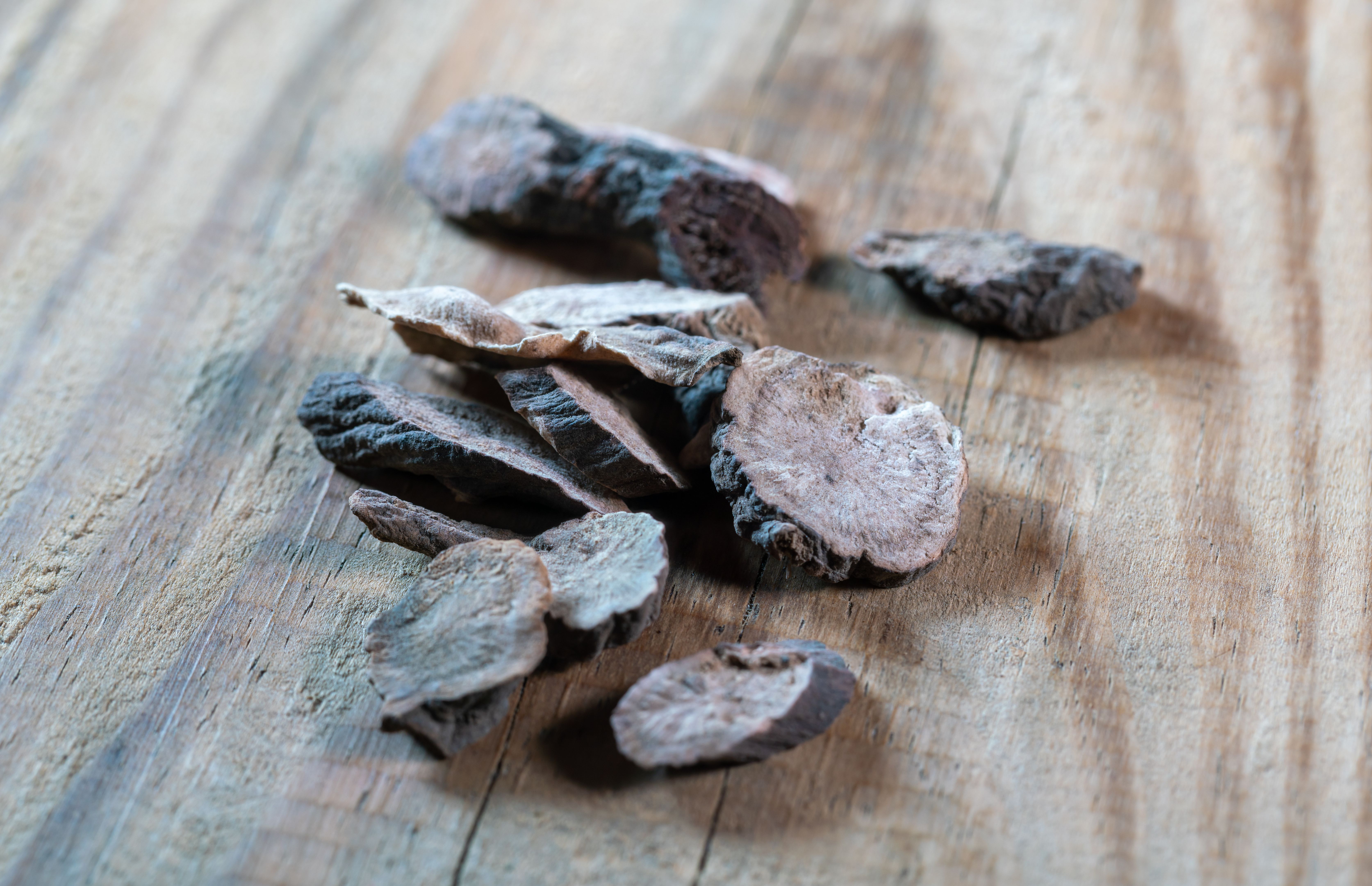 consultoria juridica