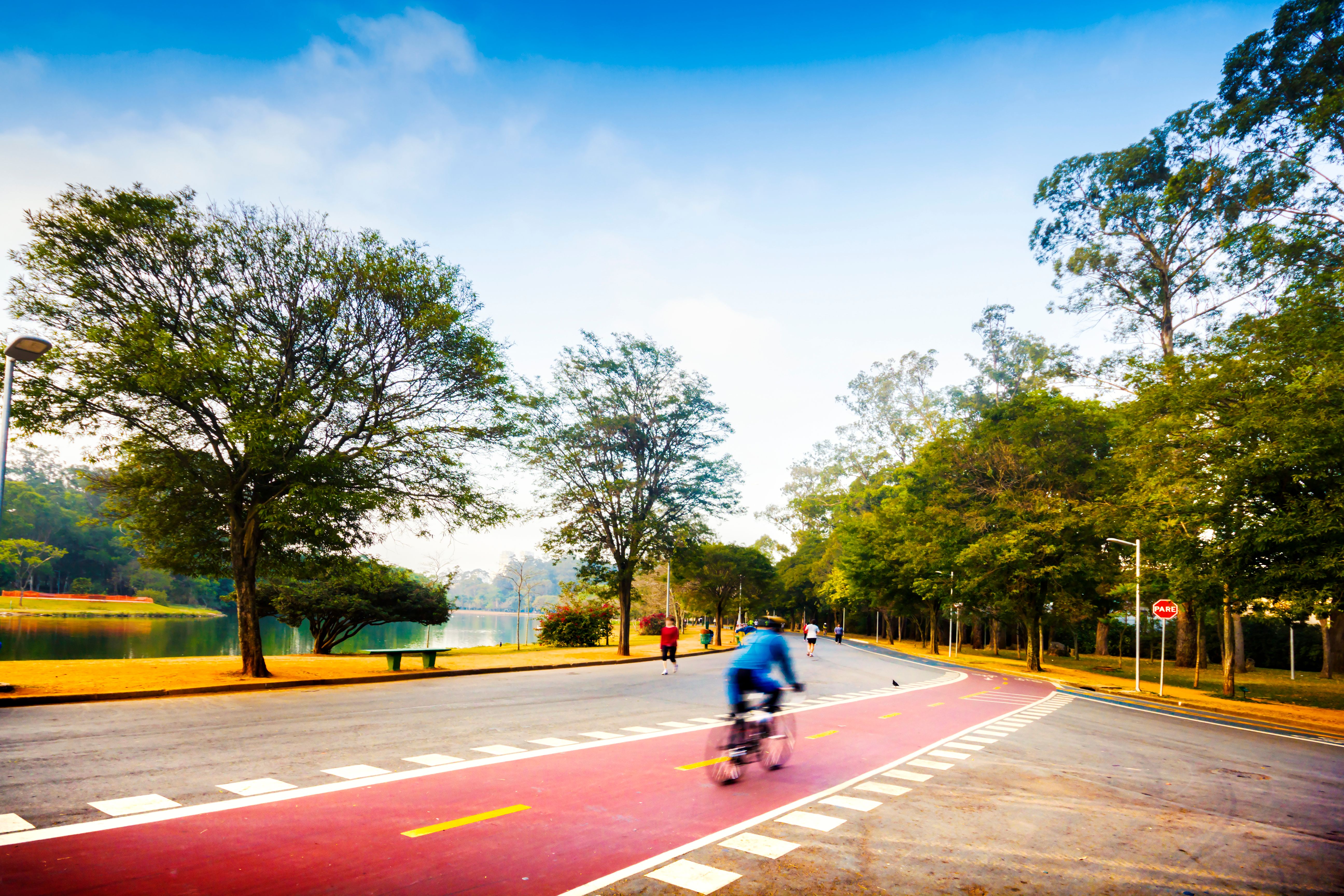 sao paulo park running