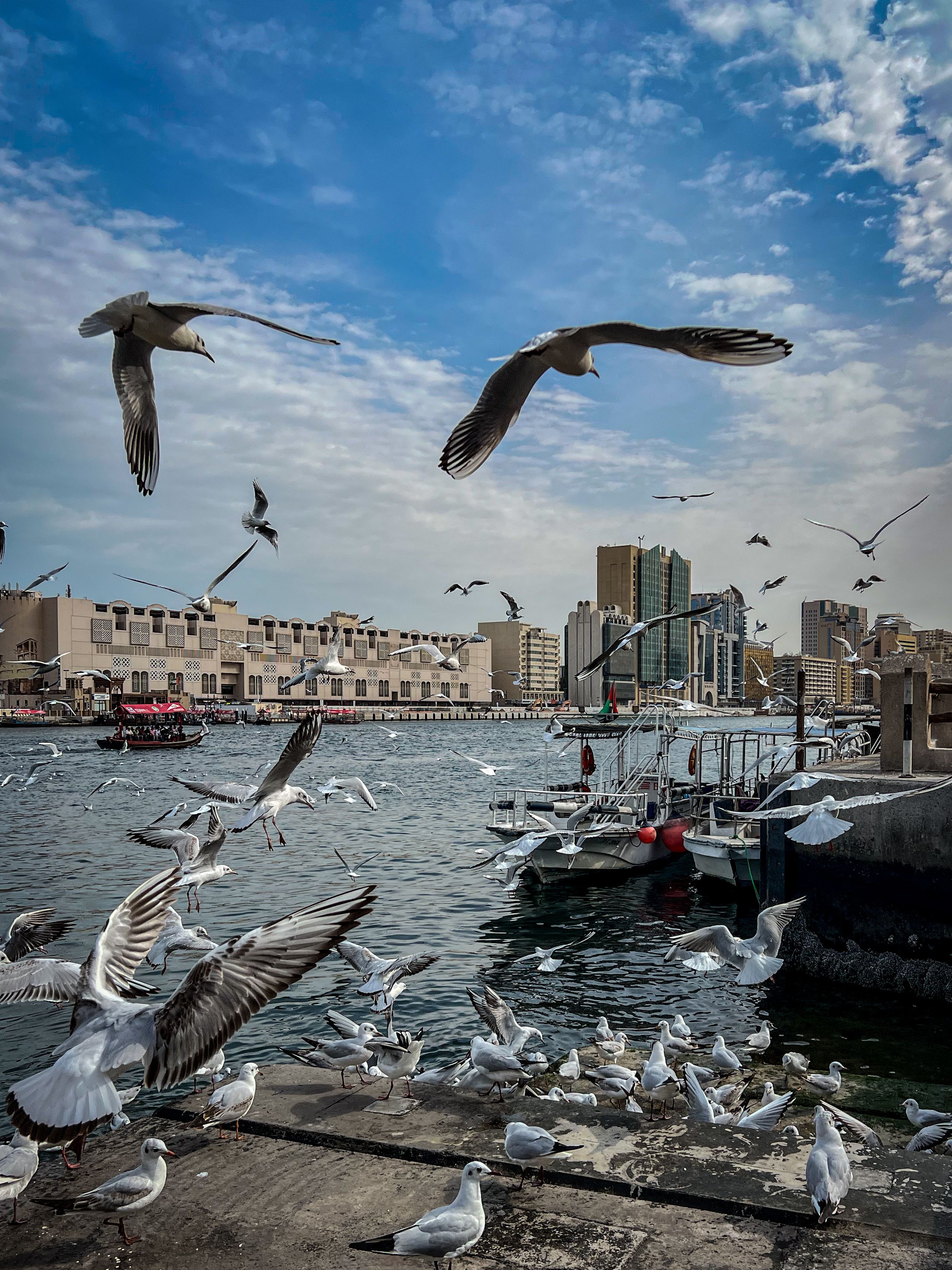 dubai creek
