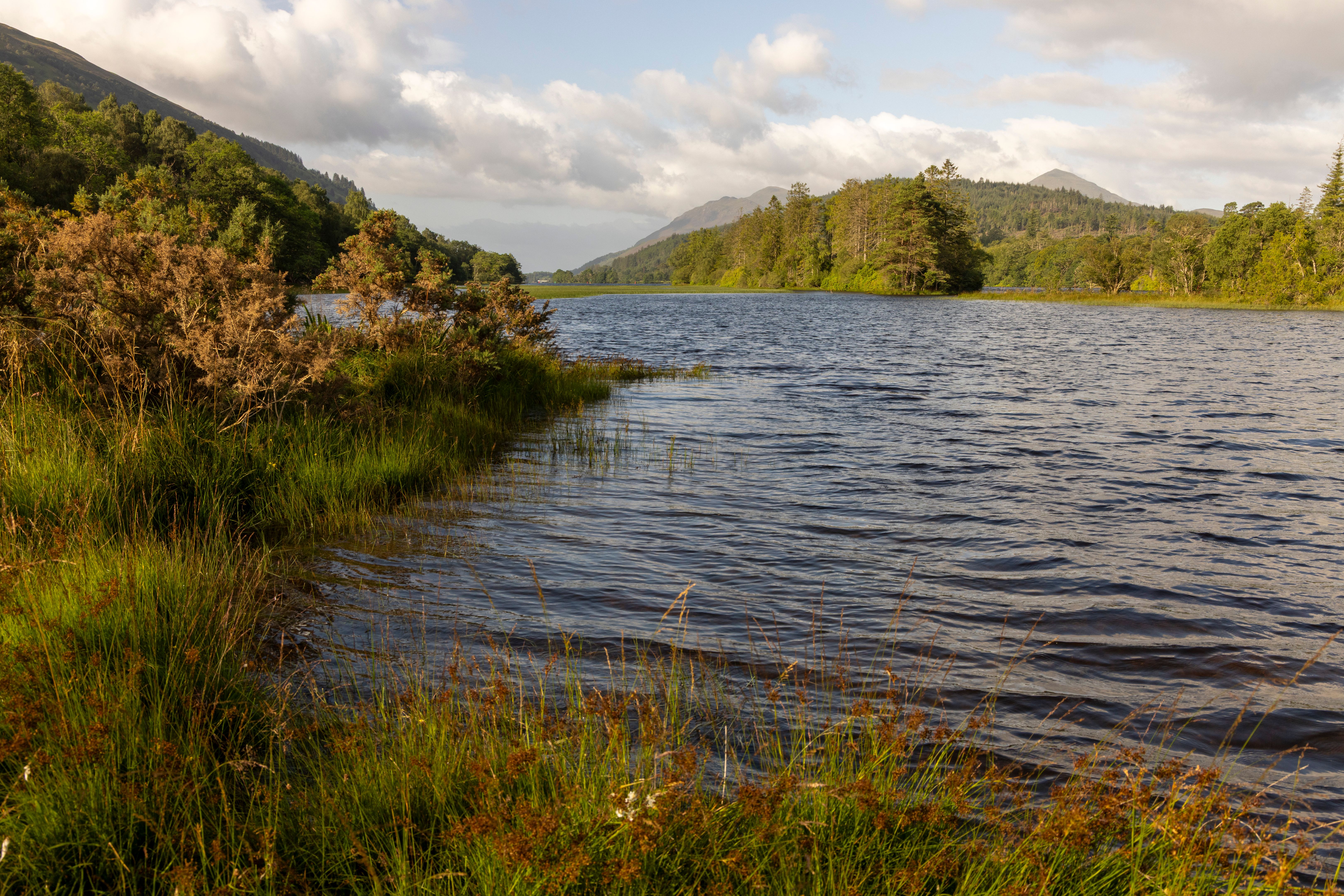 sunshine coast venue