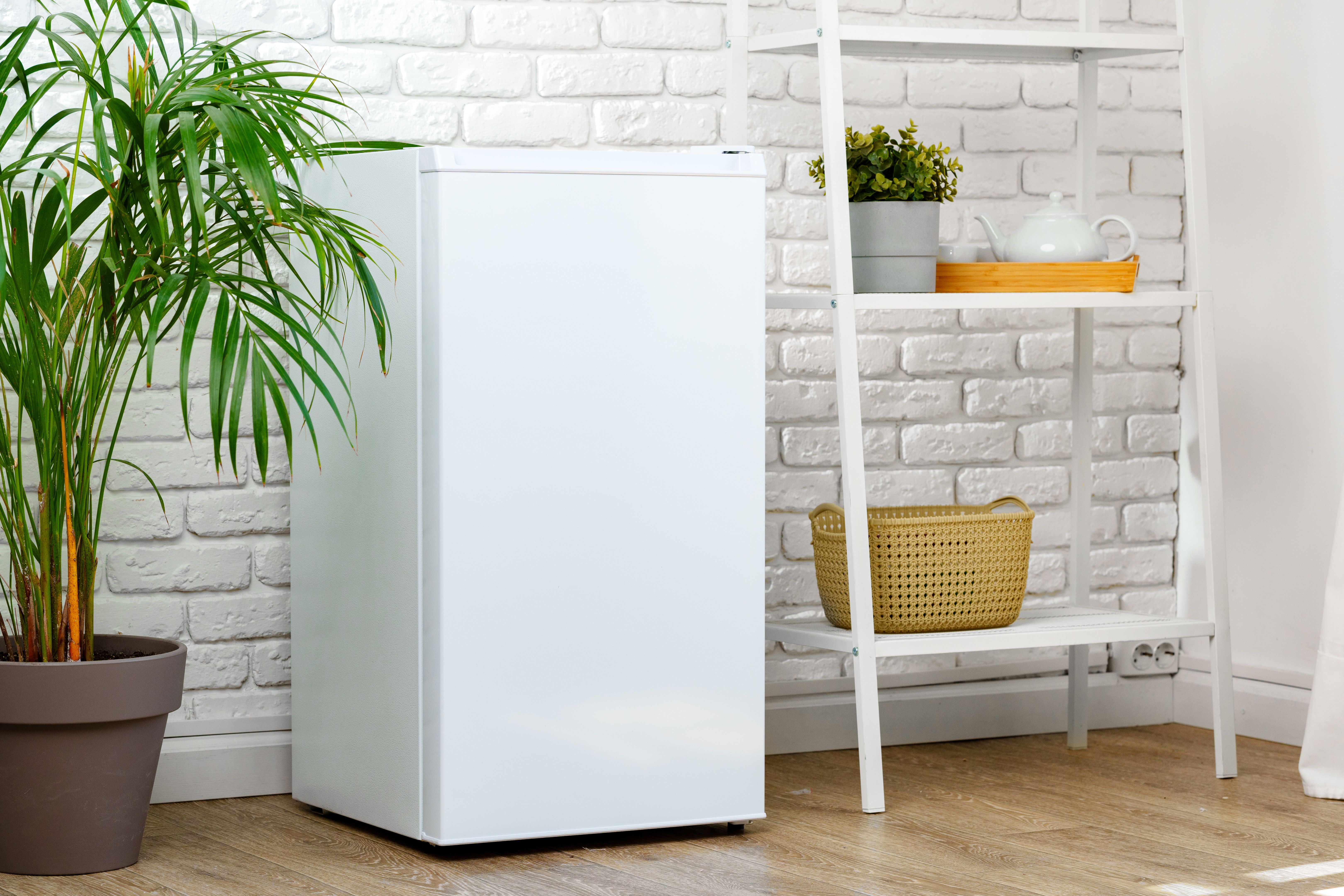 compact refrigerator