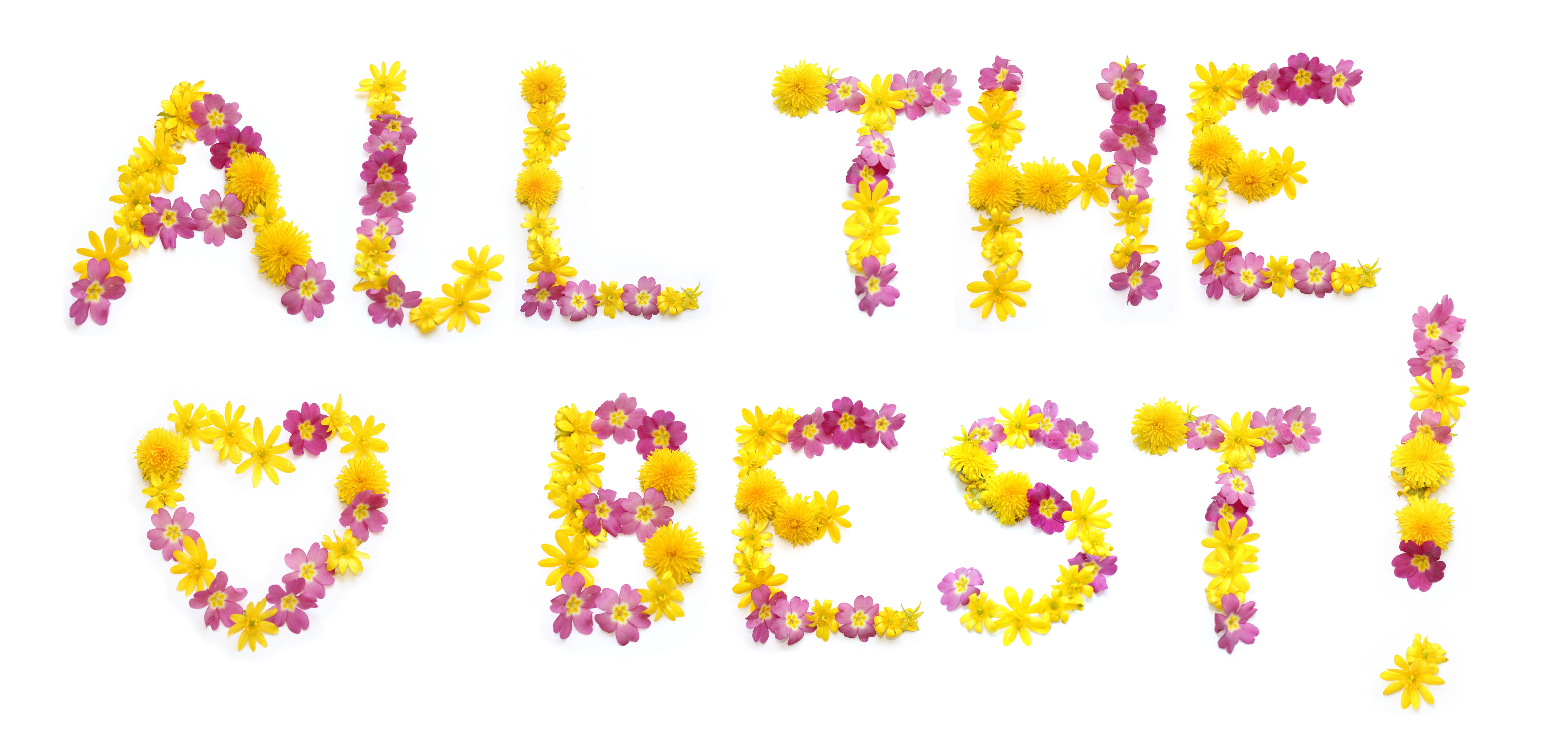 driving lesson feedback