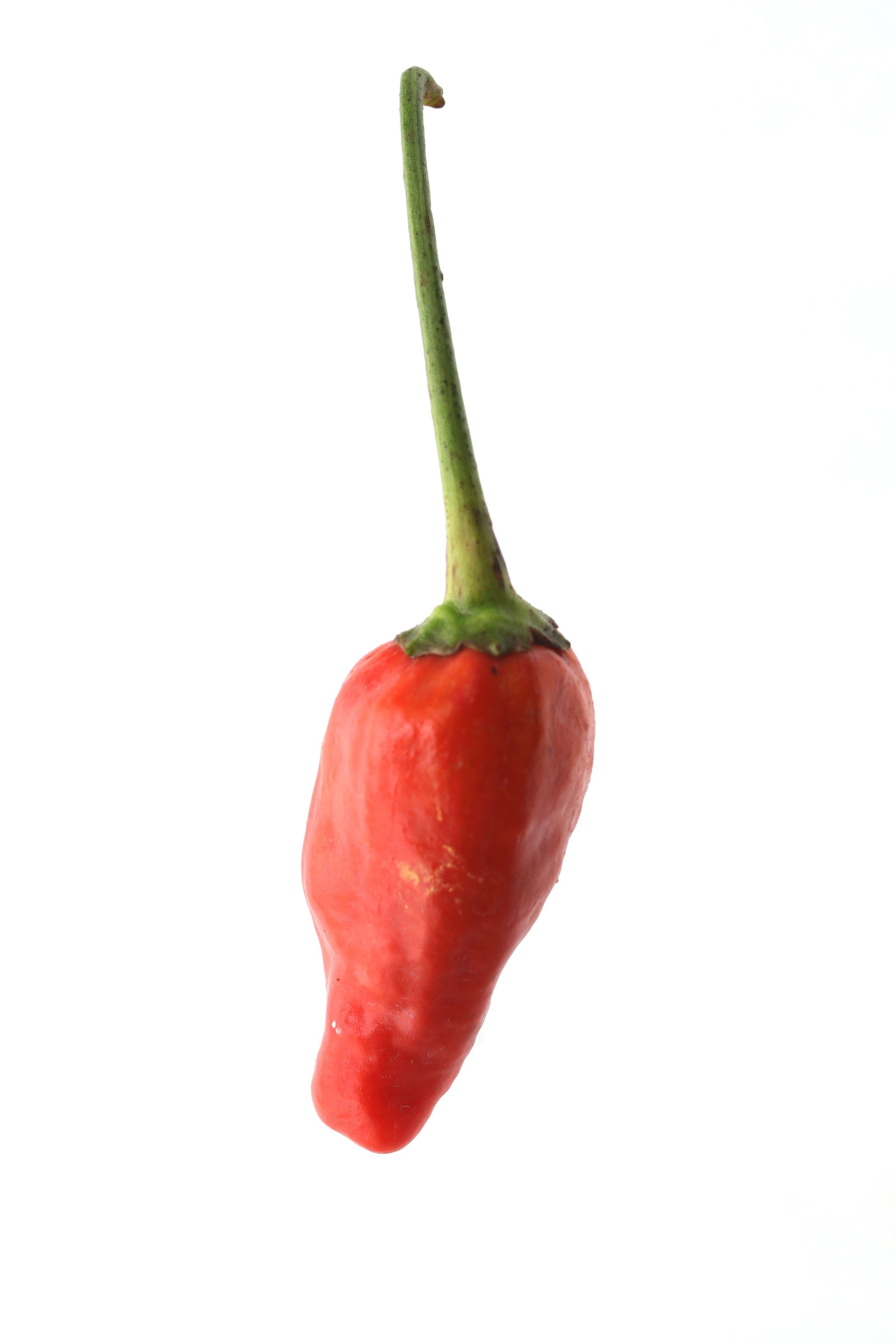 chili powder quality