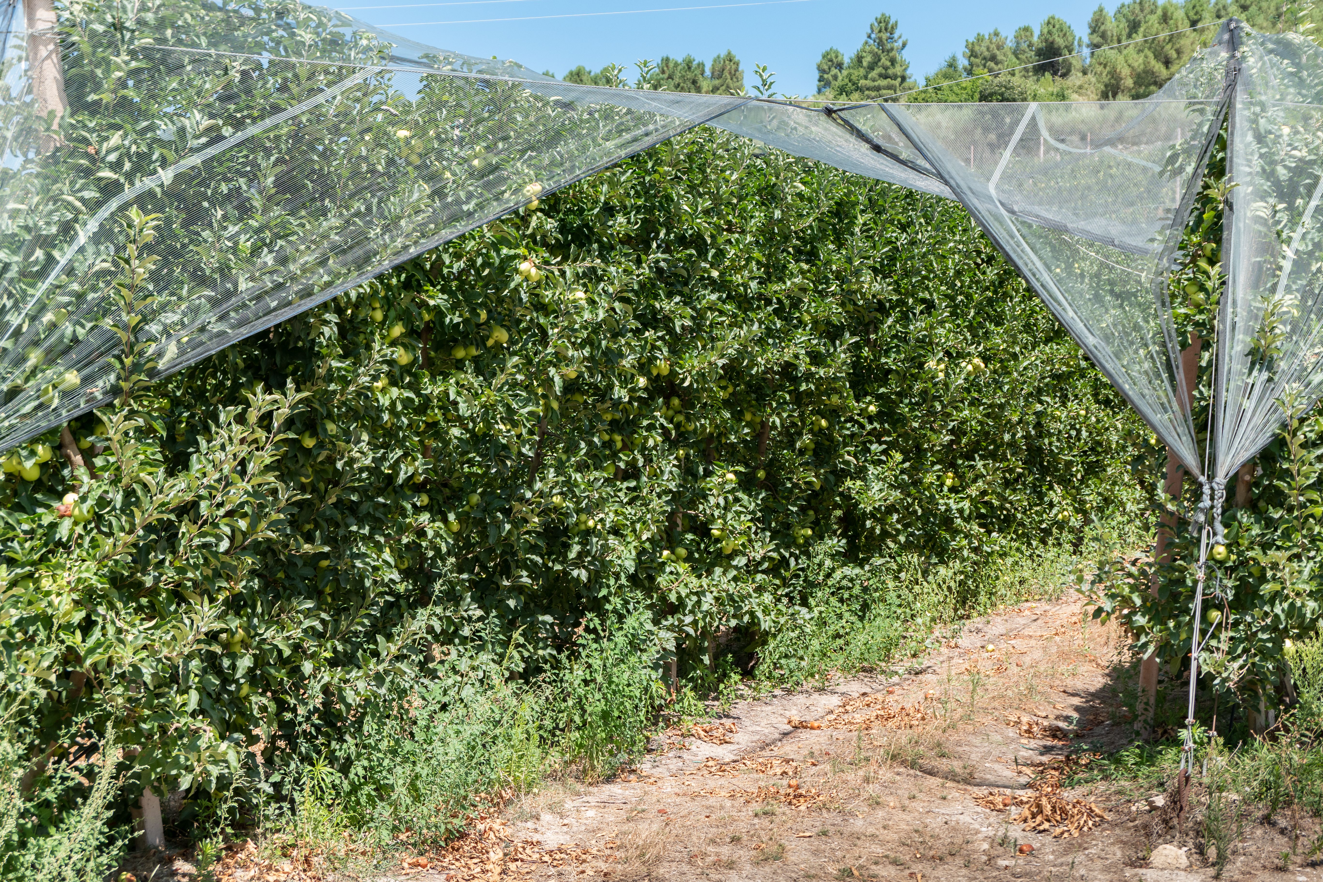 controle de qualidade