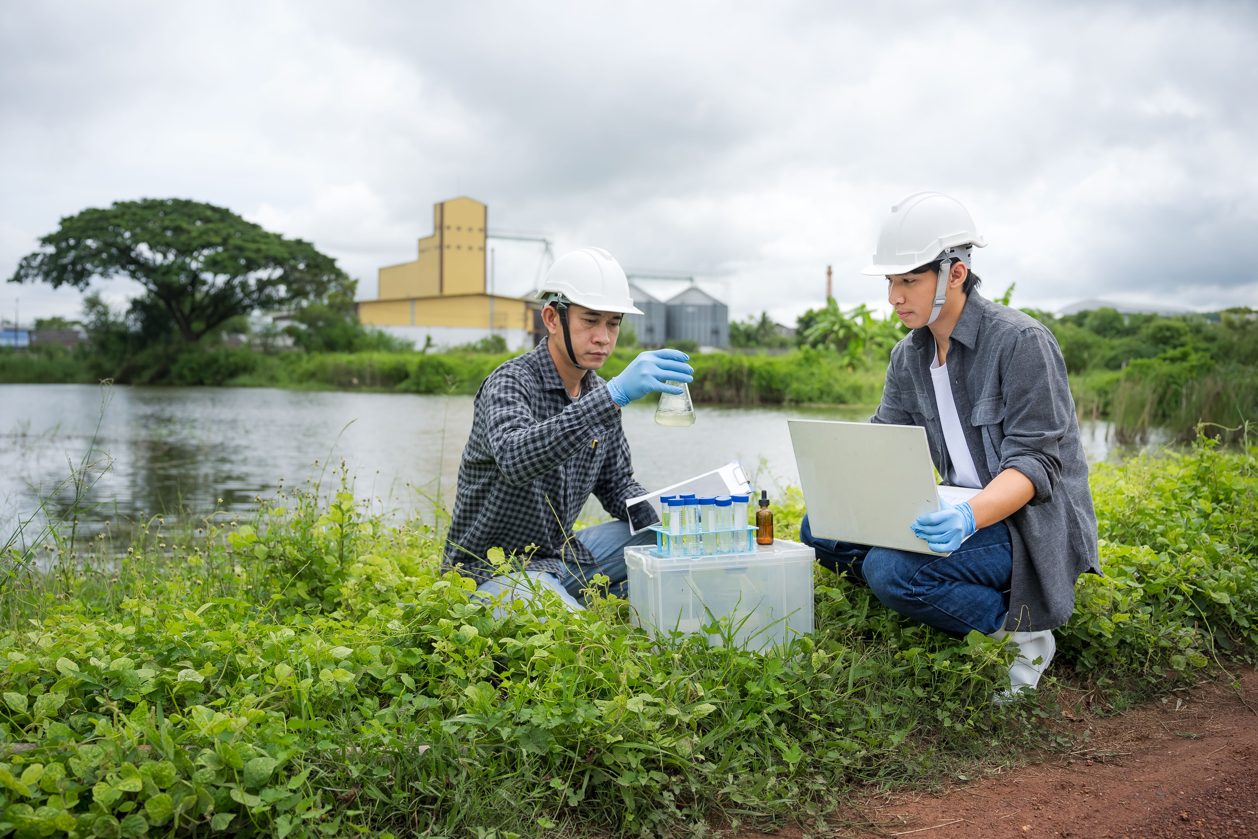 environmental inspection