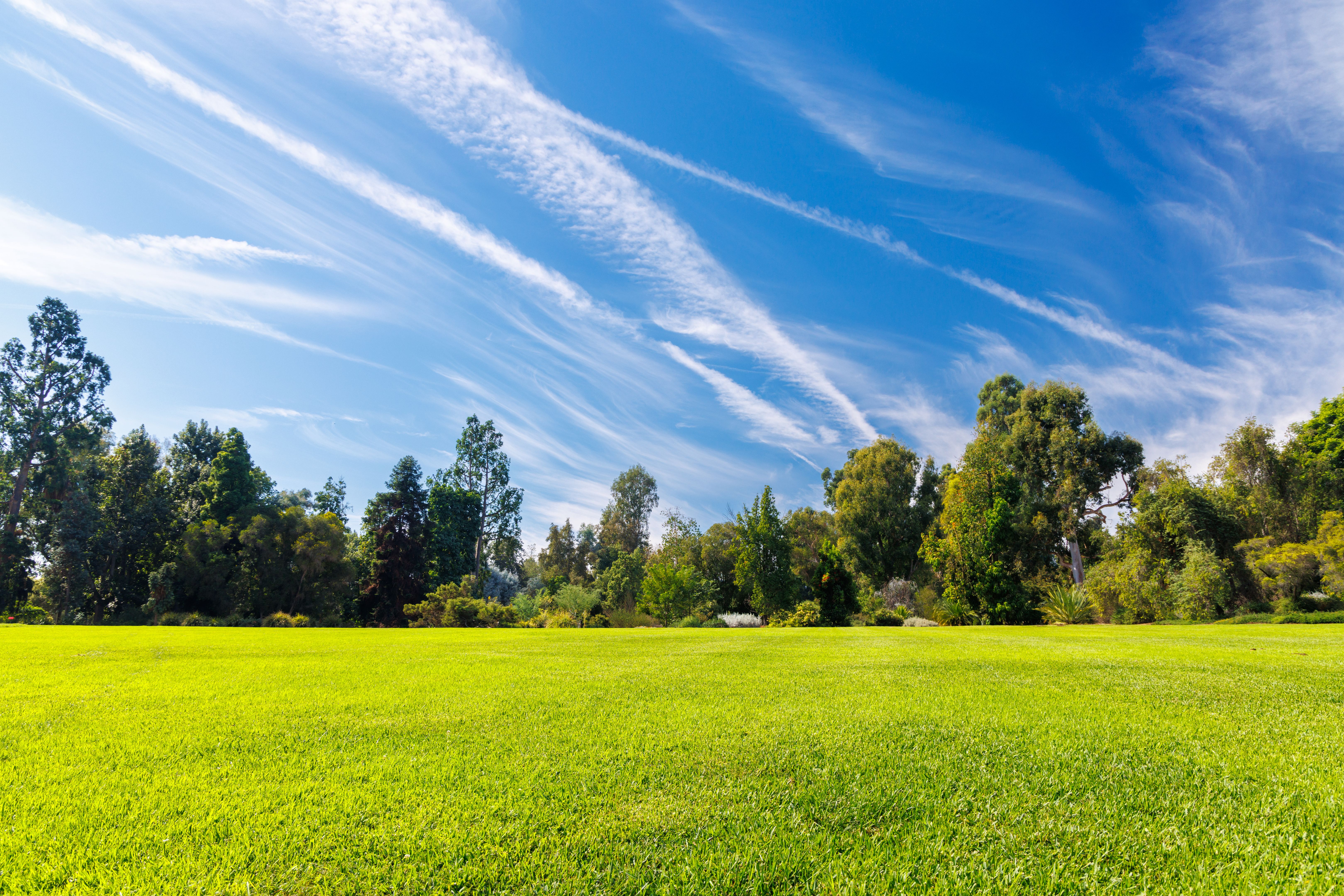 sunny landscape