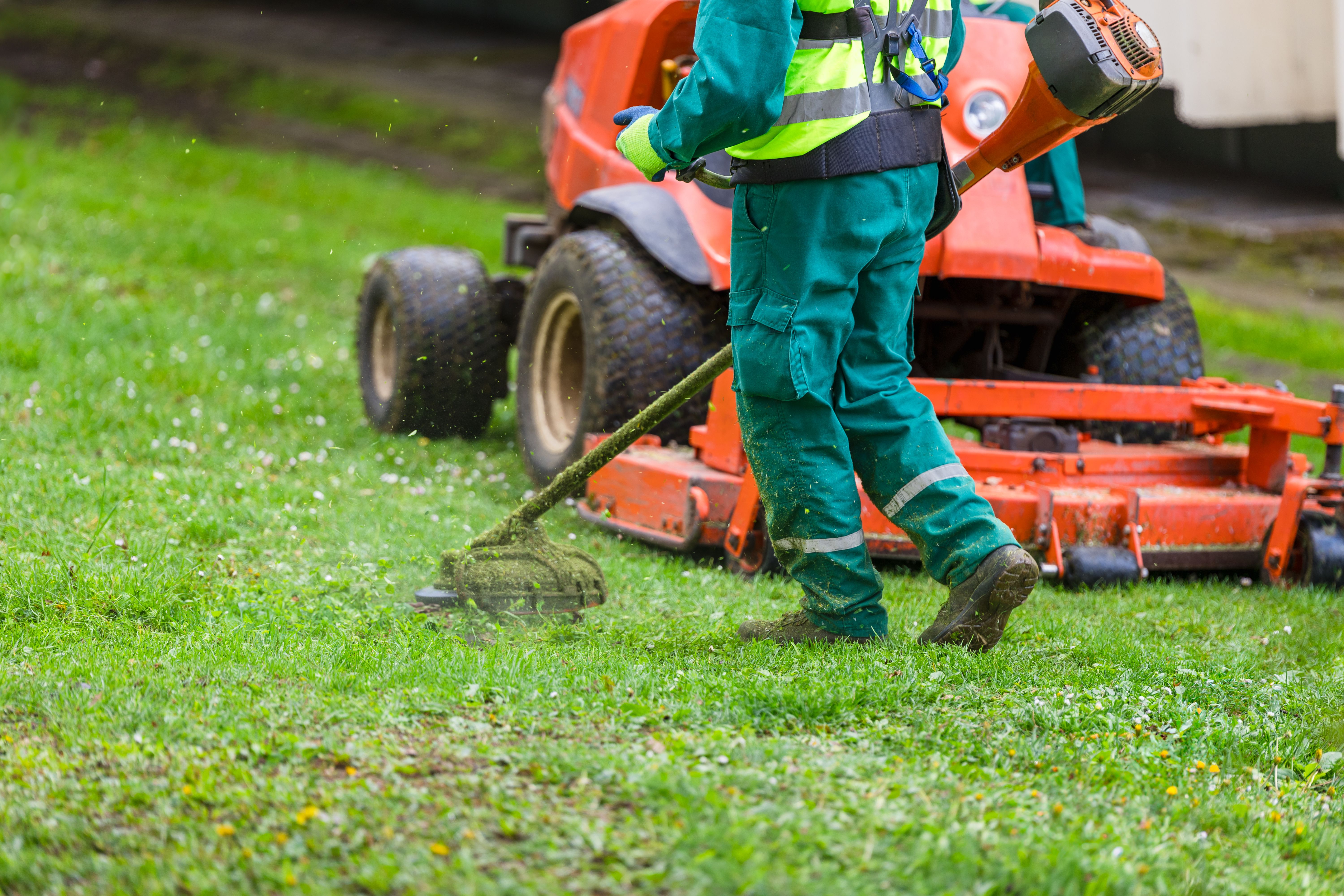 professional lawn care