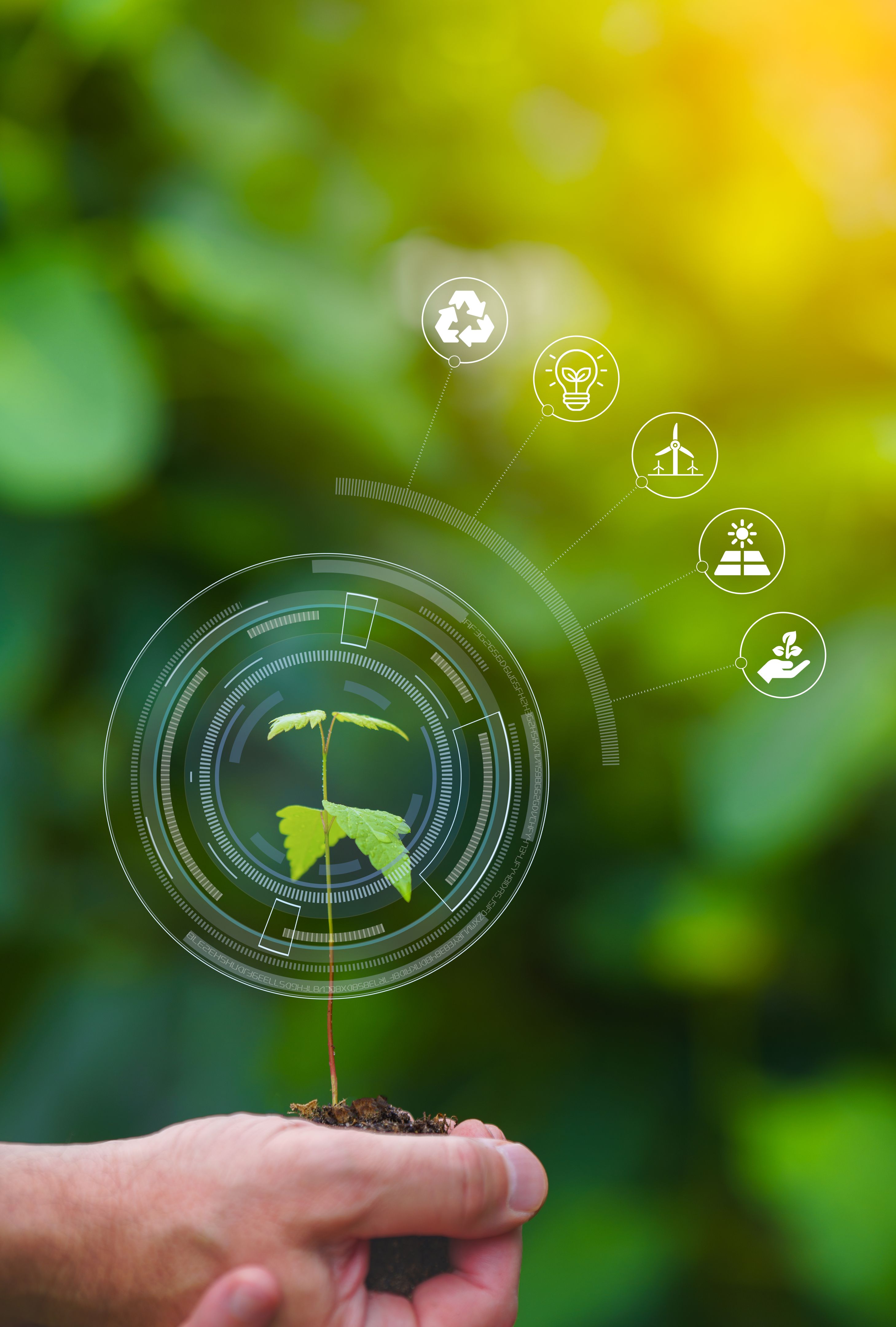 business sustainability