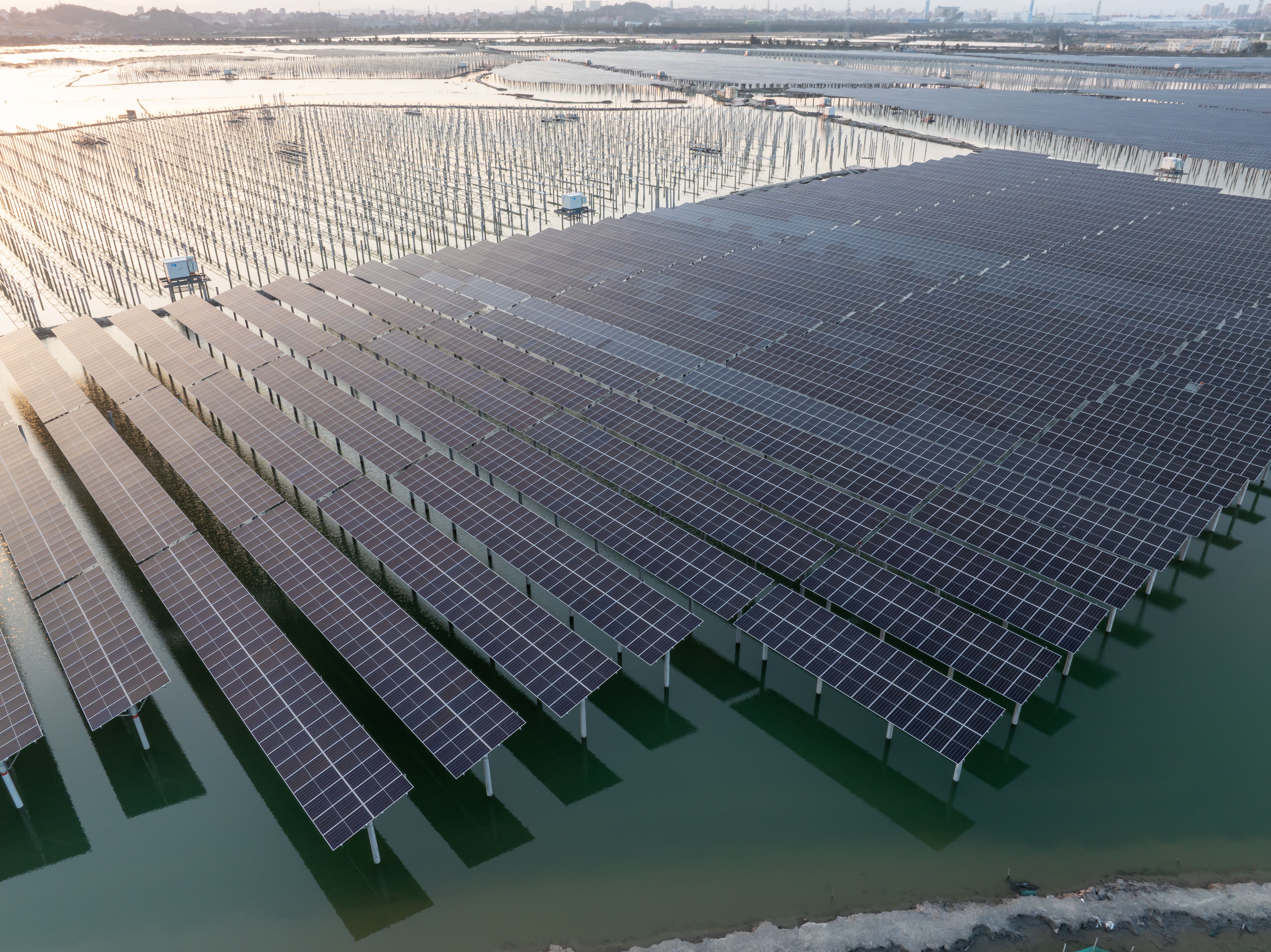 modern fish farm