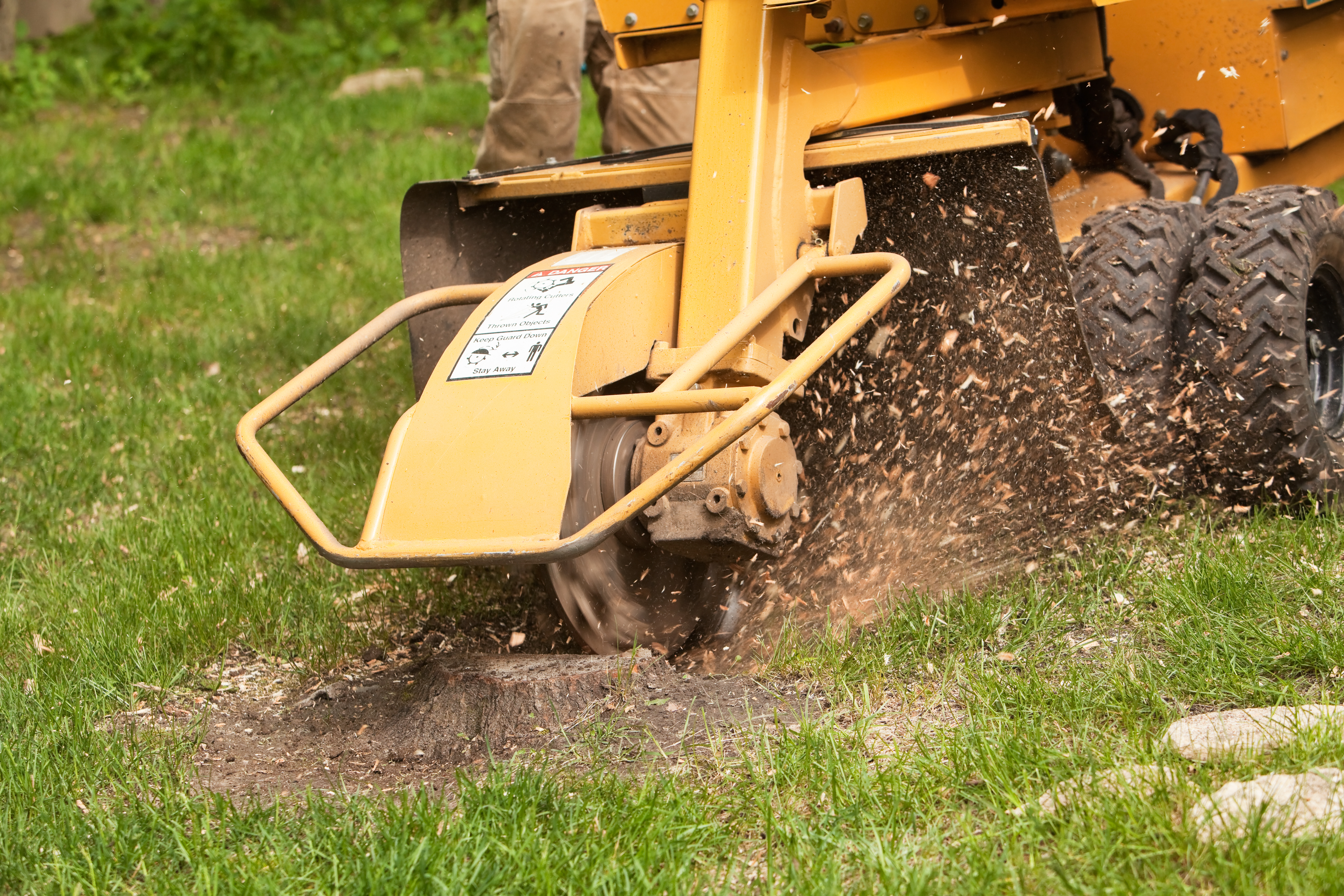 professional stump grinder in use professional stump grinder in use