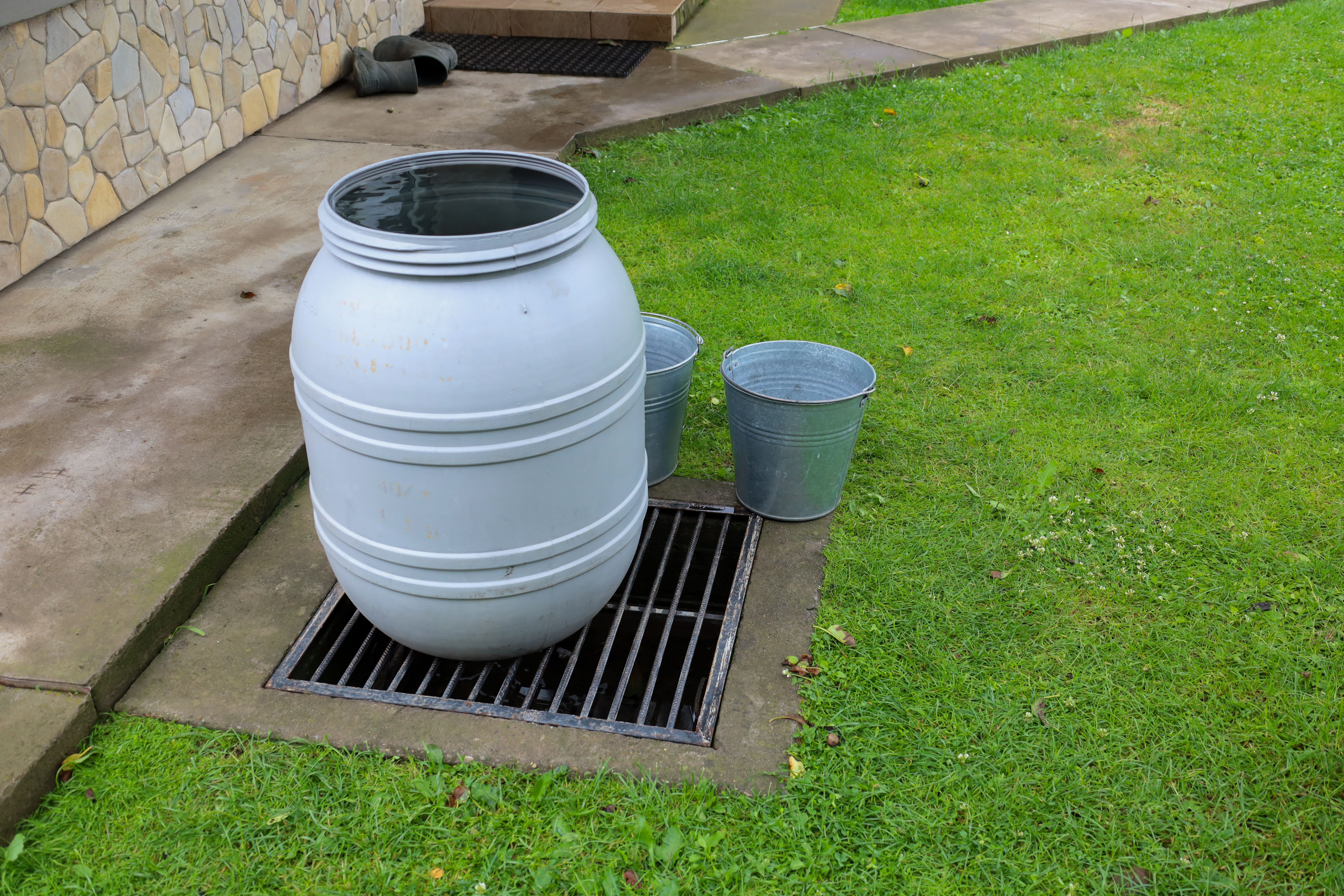 rainwater barrel