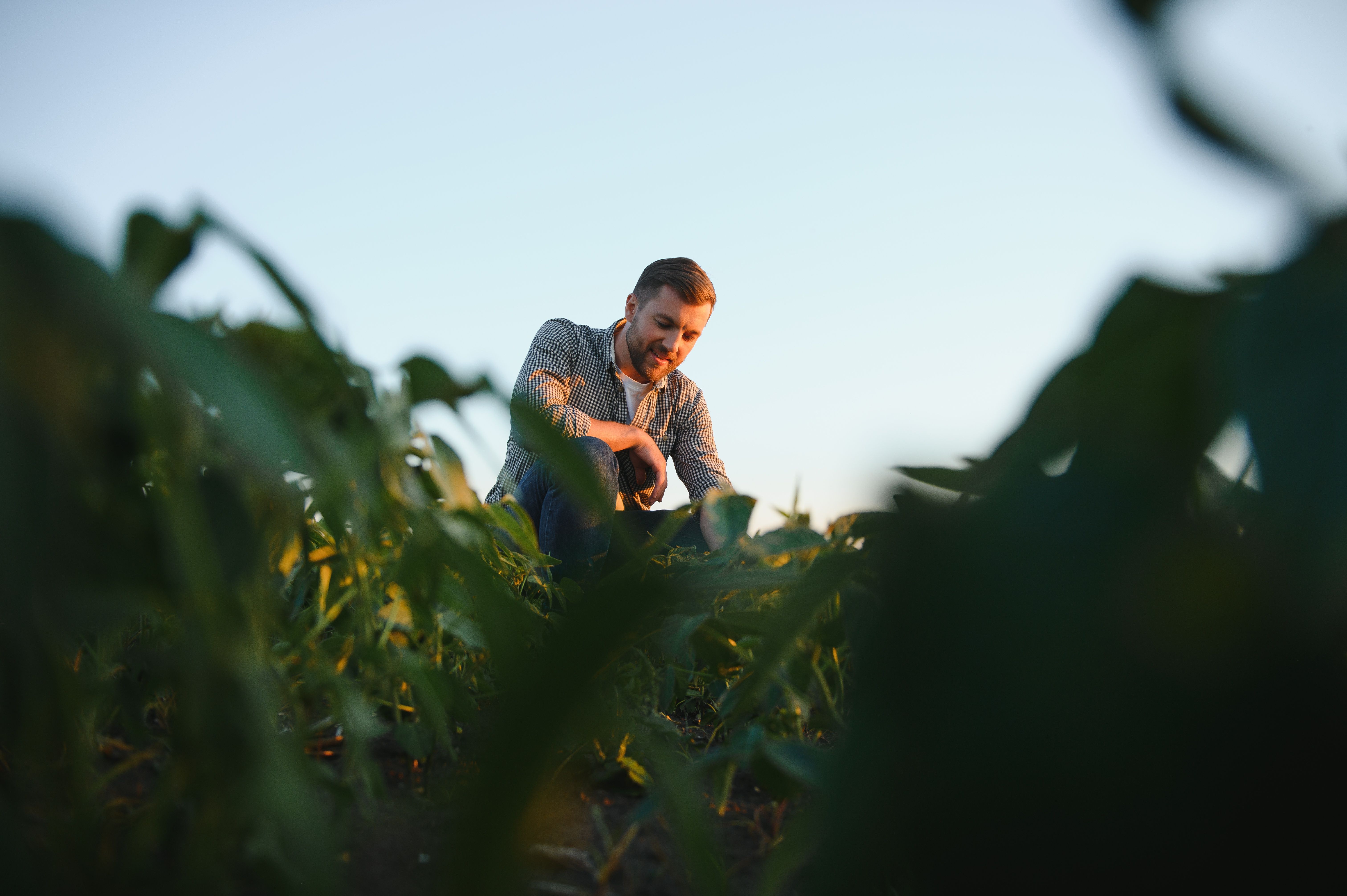 farmer inspecting crops
