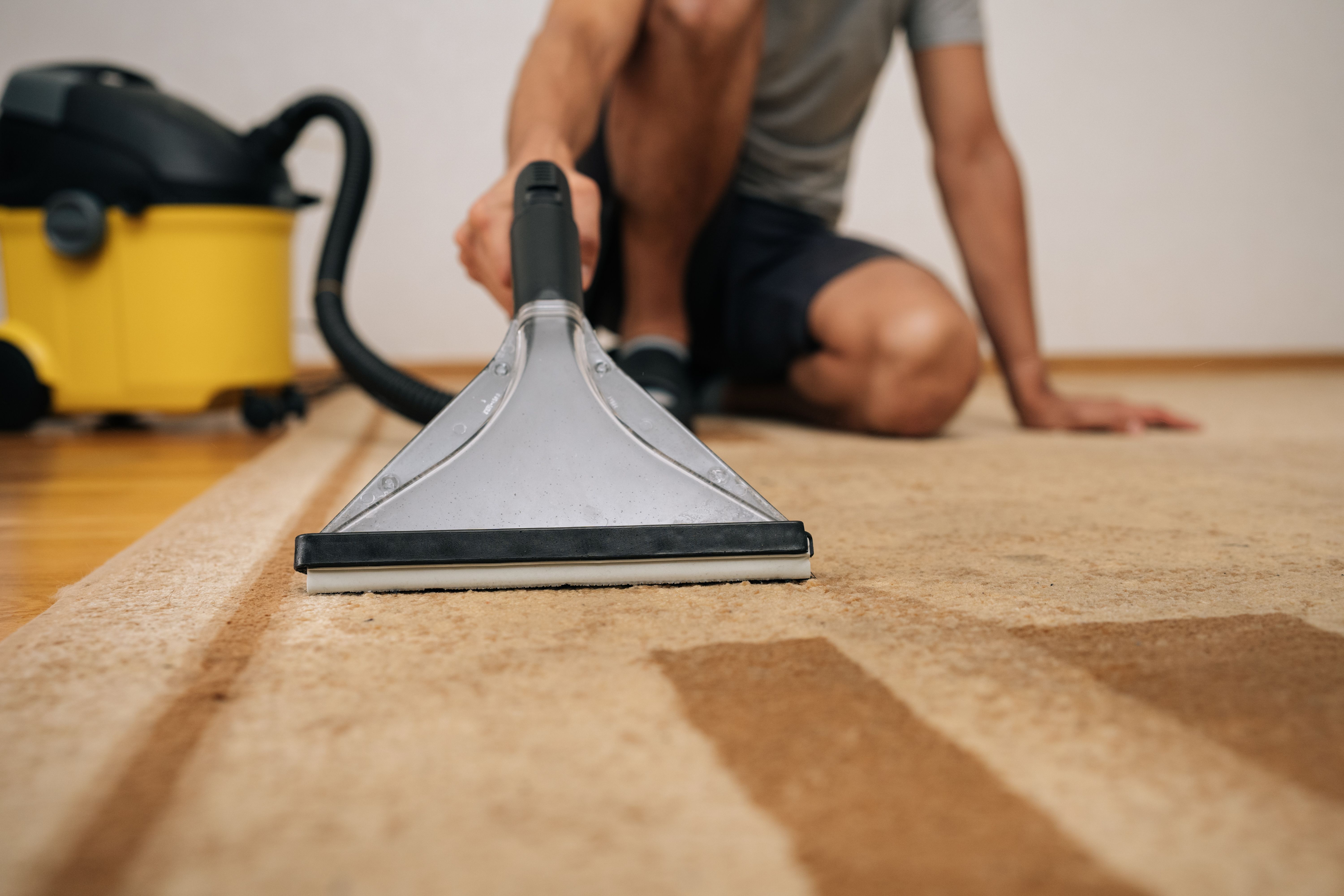 professional carpet cleaning