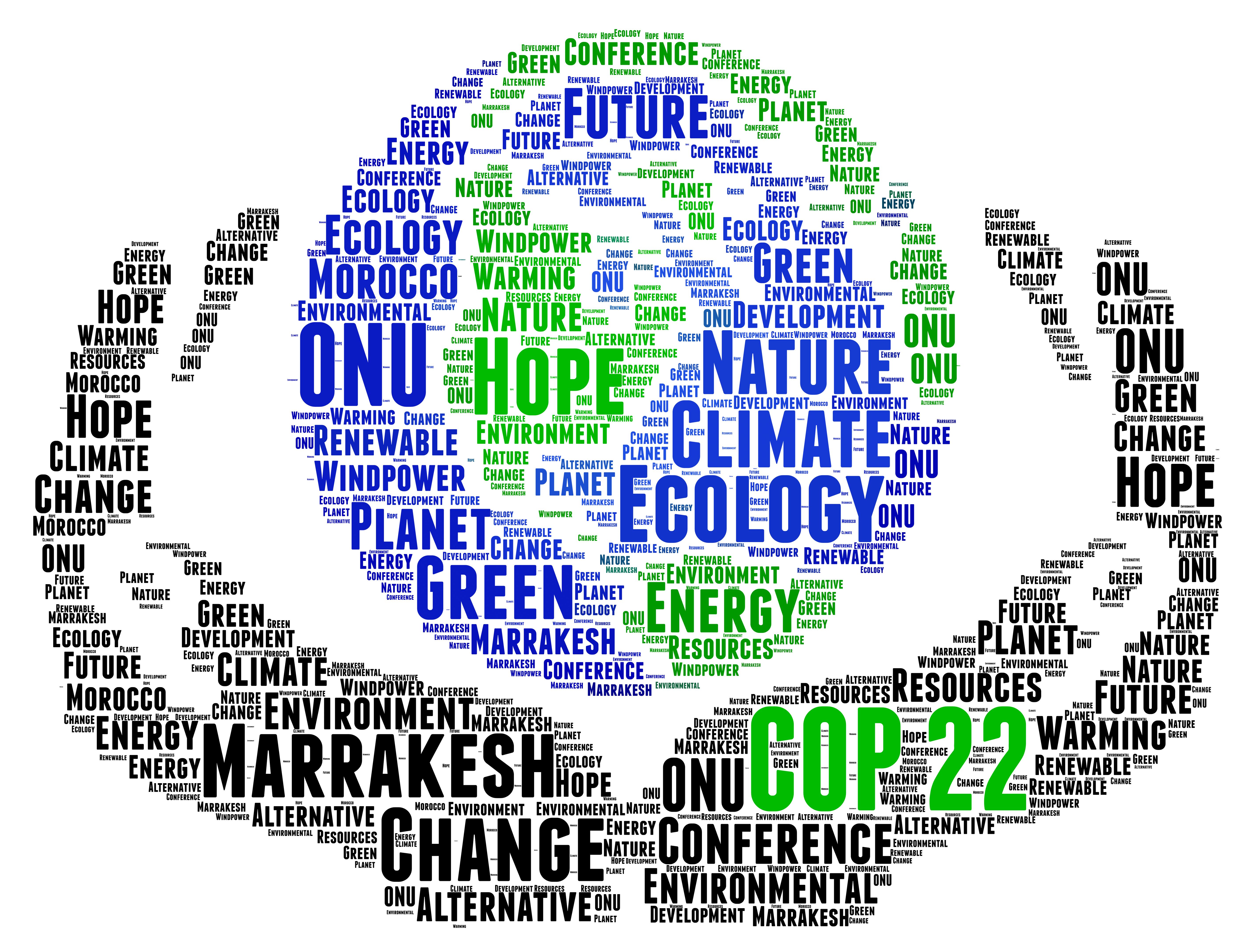 business meeting Marrakesh