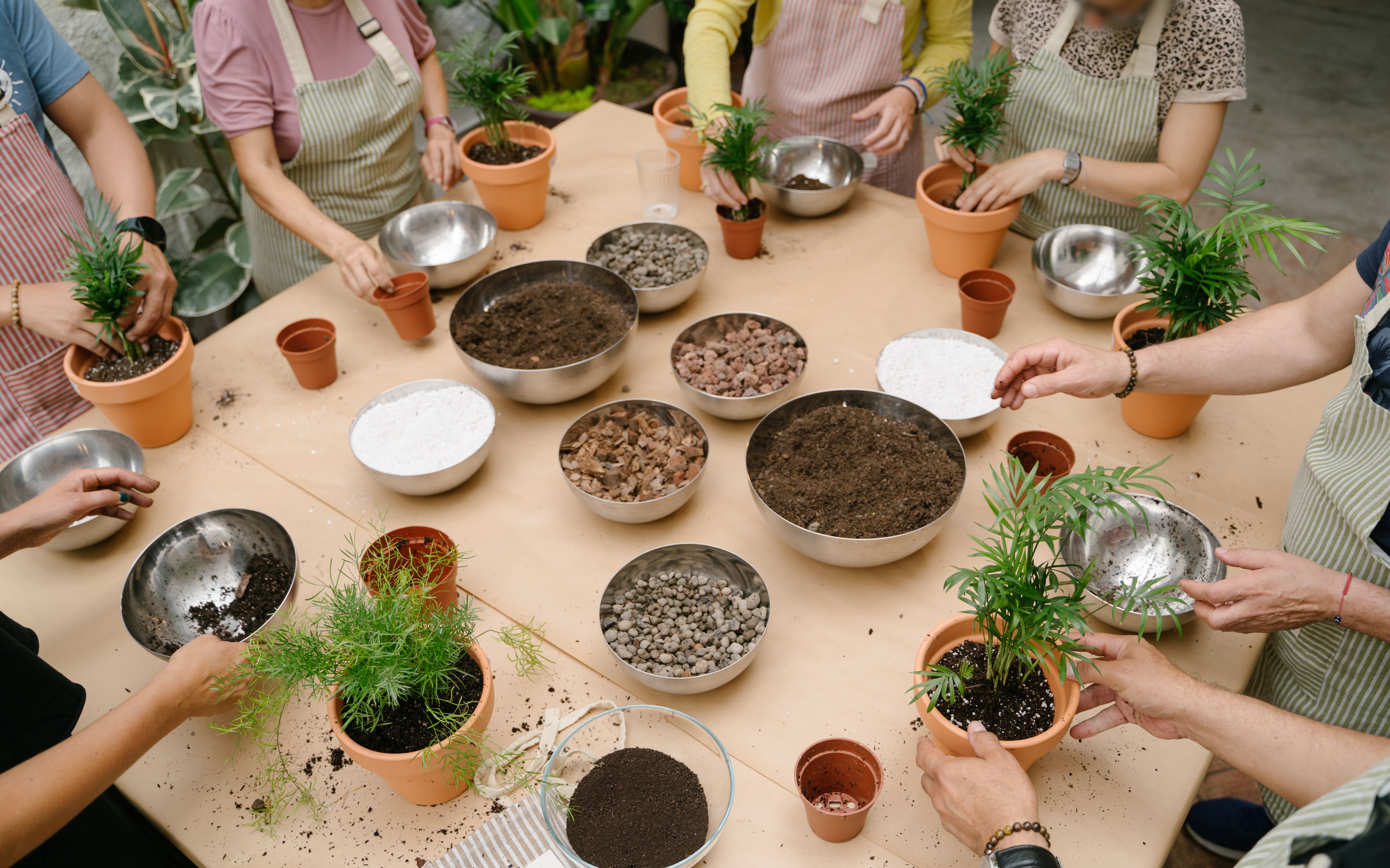 garden workshop