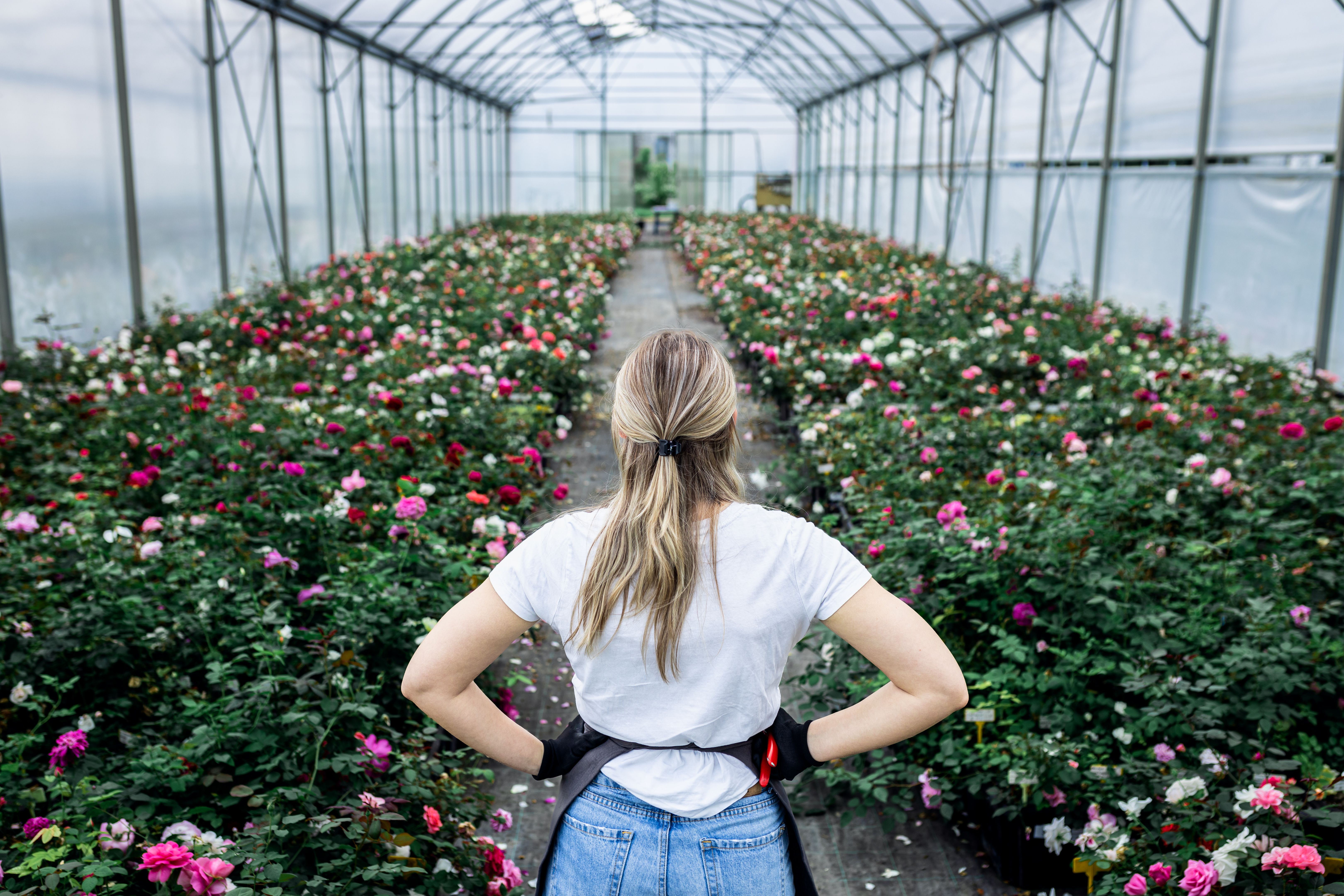 passionate entrepreneur