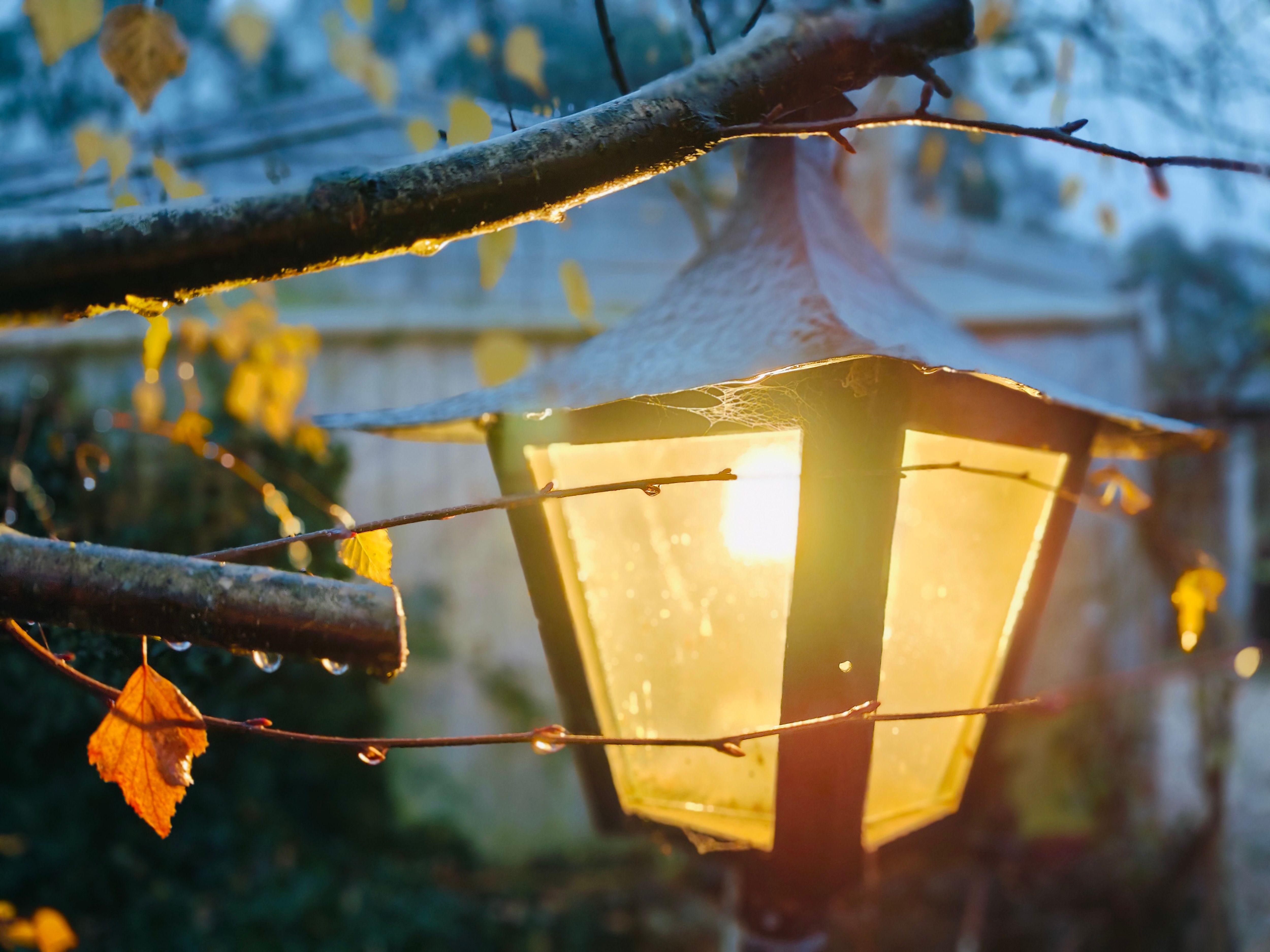 ambient lighting fall