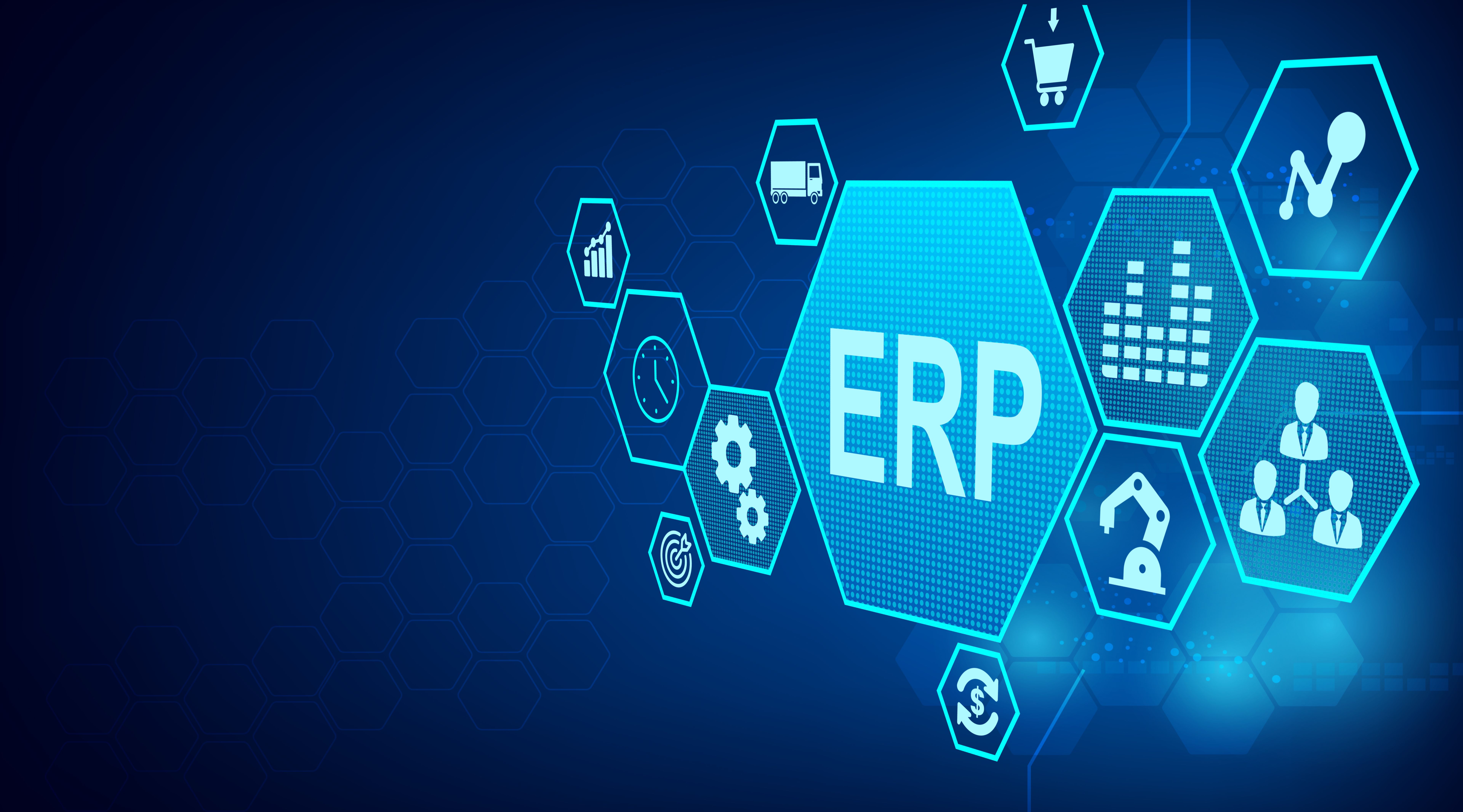 erp selection