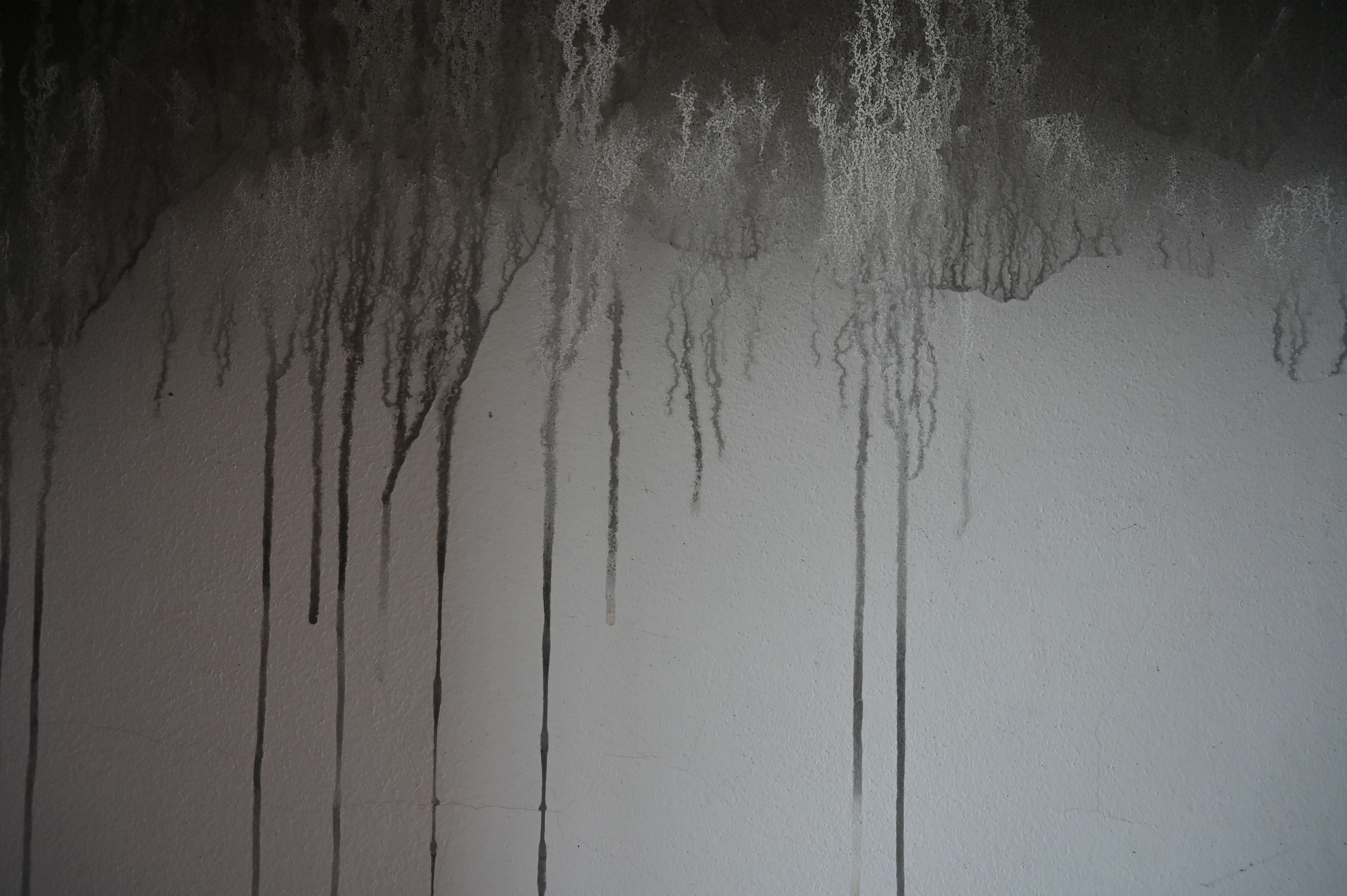 dramatic wall paint