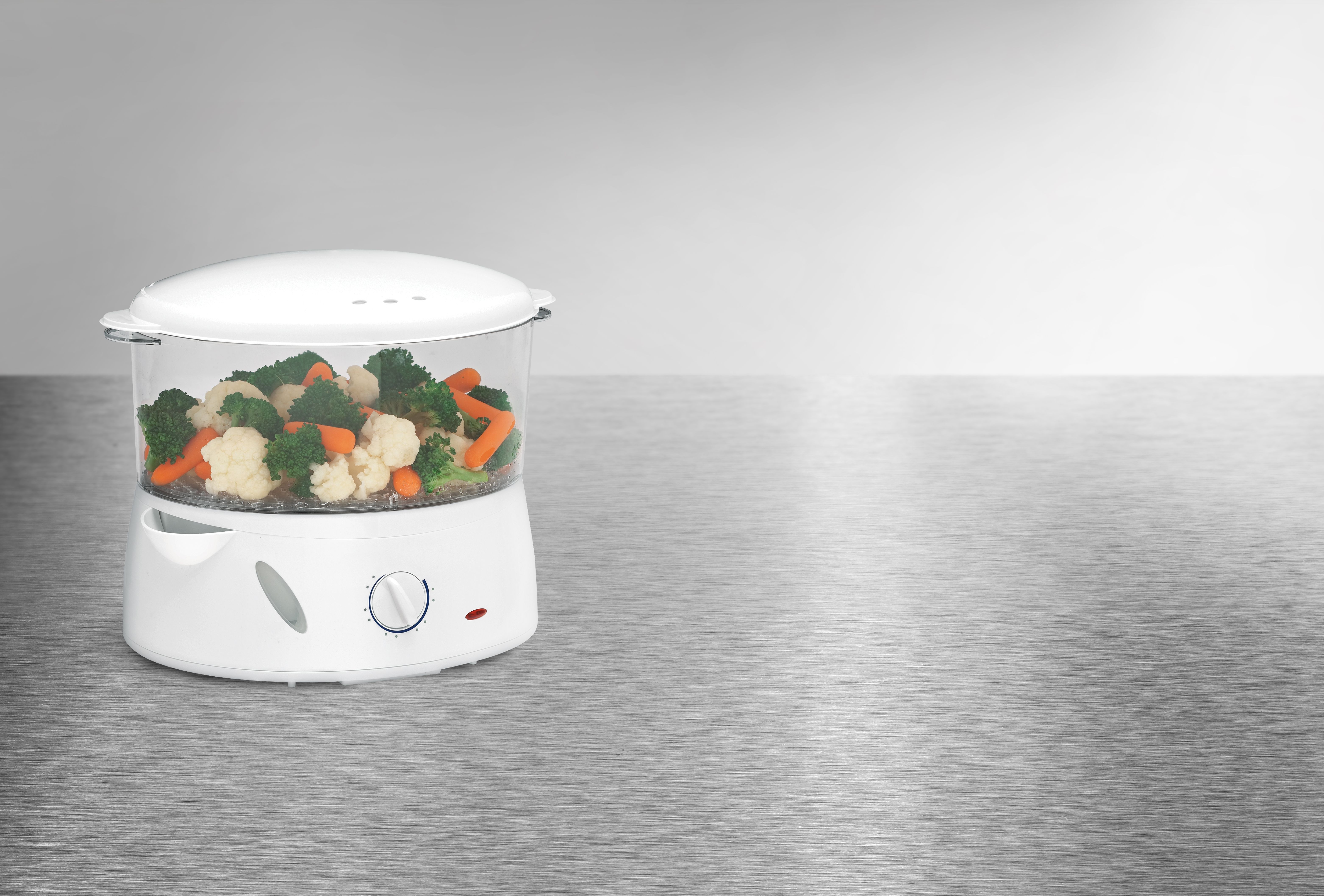electric lunch box