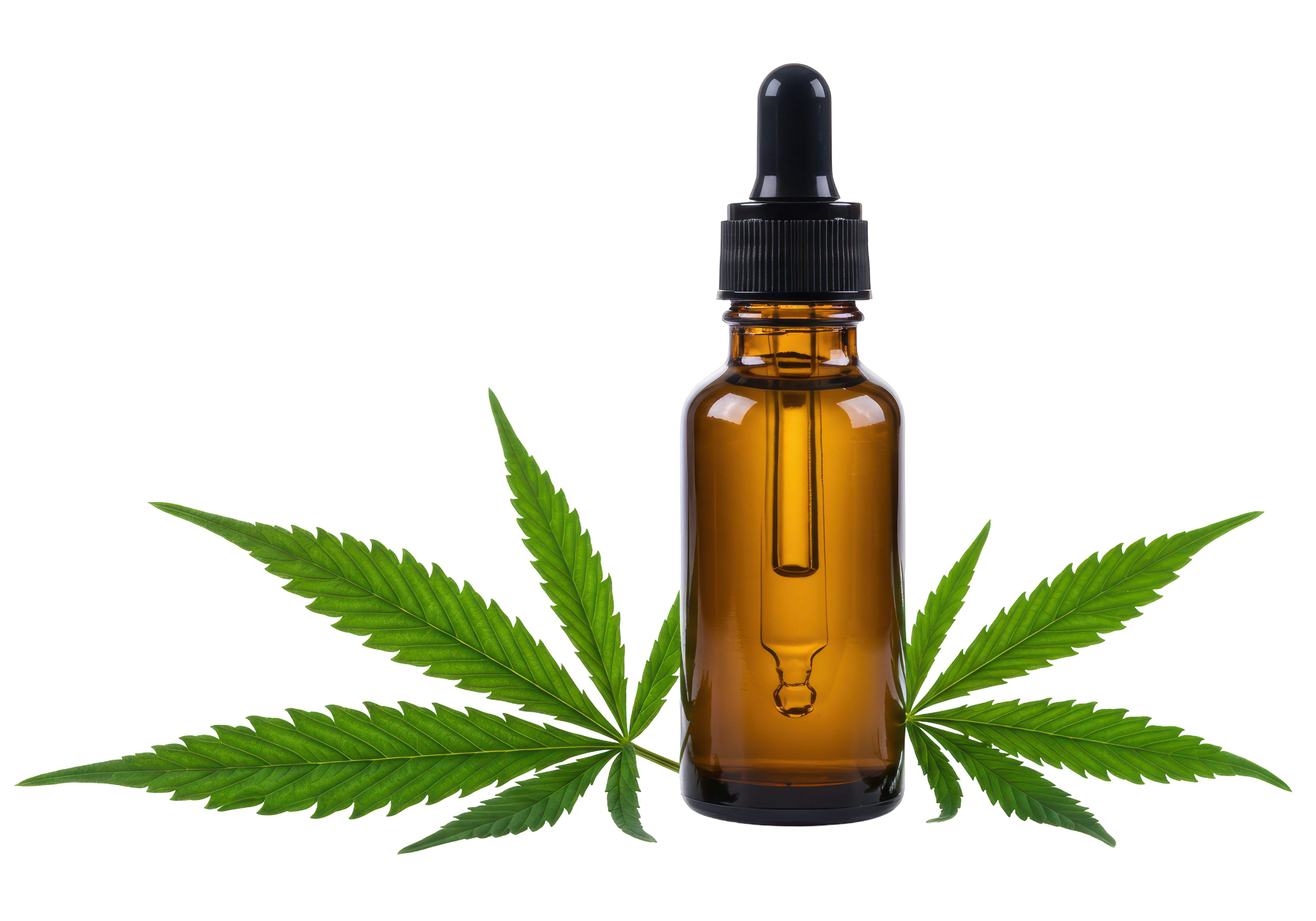 CBD oil bottle