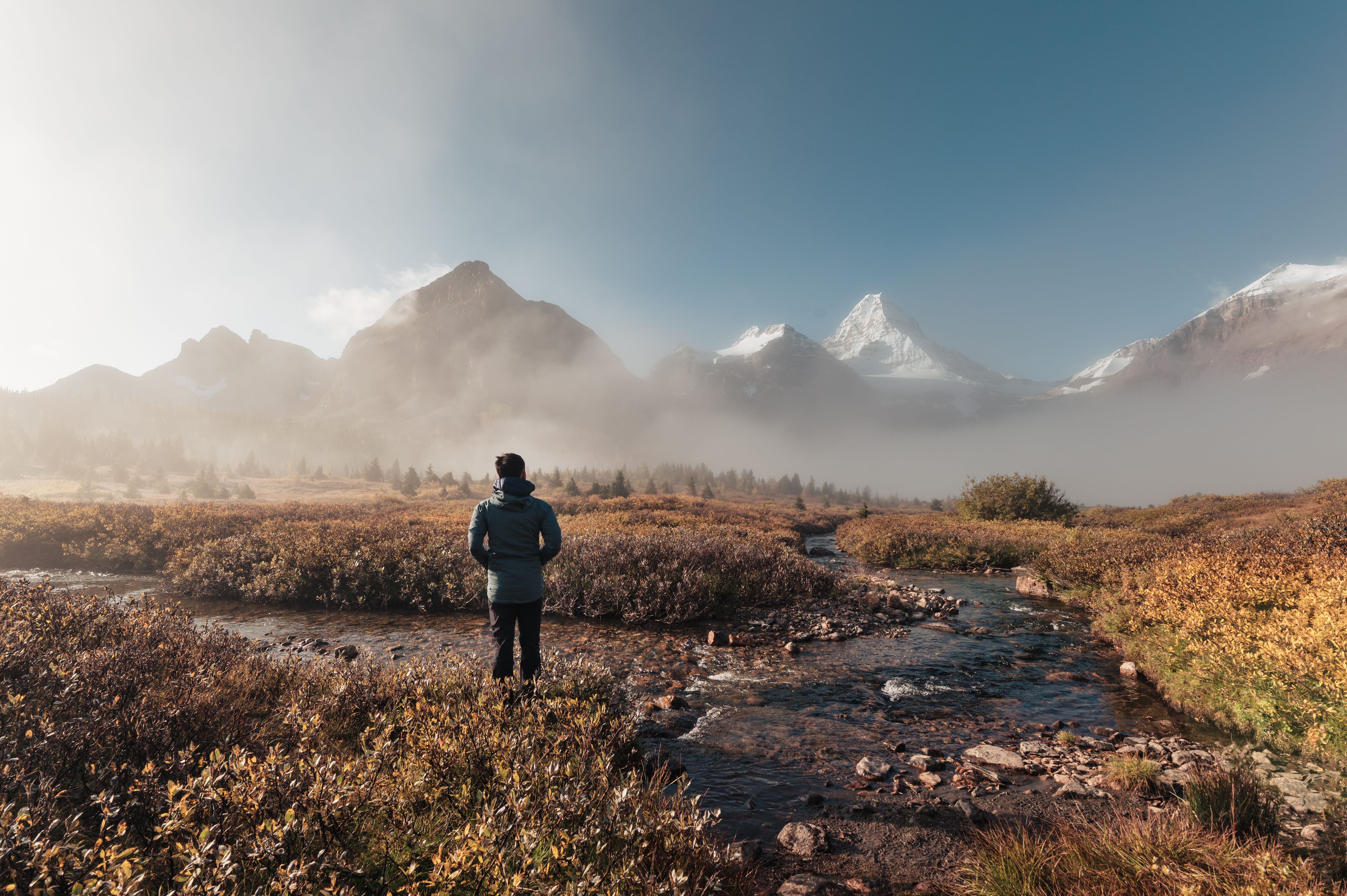 Traveler man standing and looking the mount Assiniboine in foggy on autumn forest at provincial park